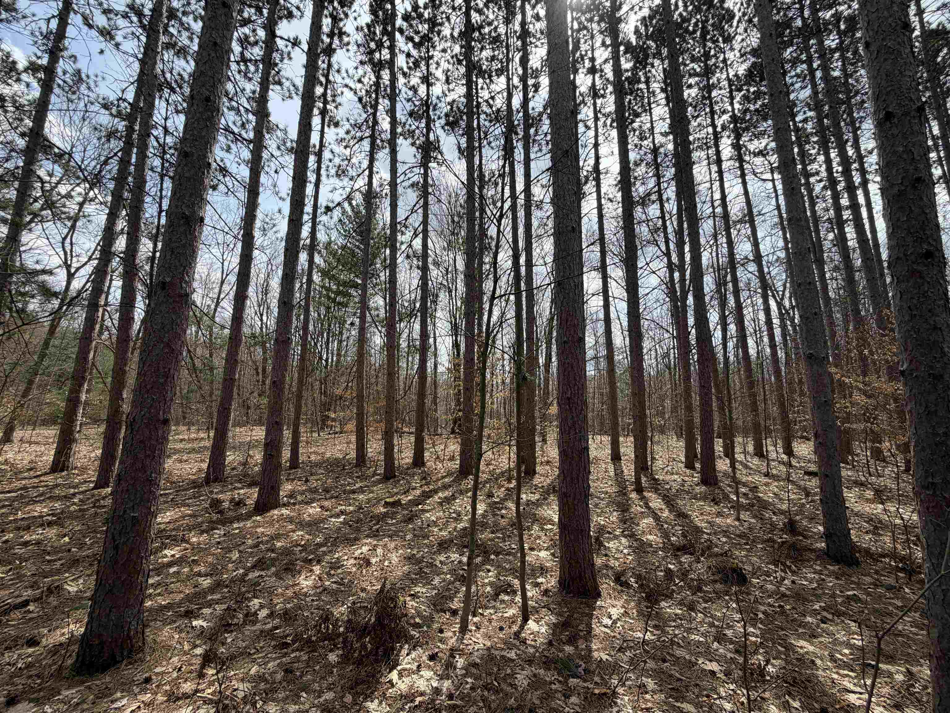Hoosier Valley Road Property Photo 9