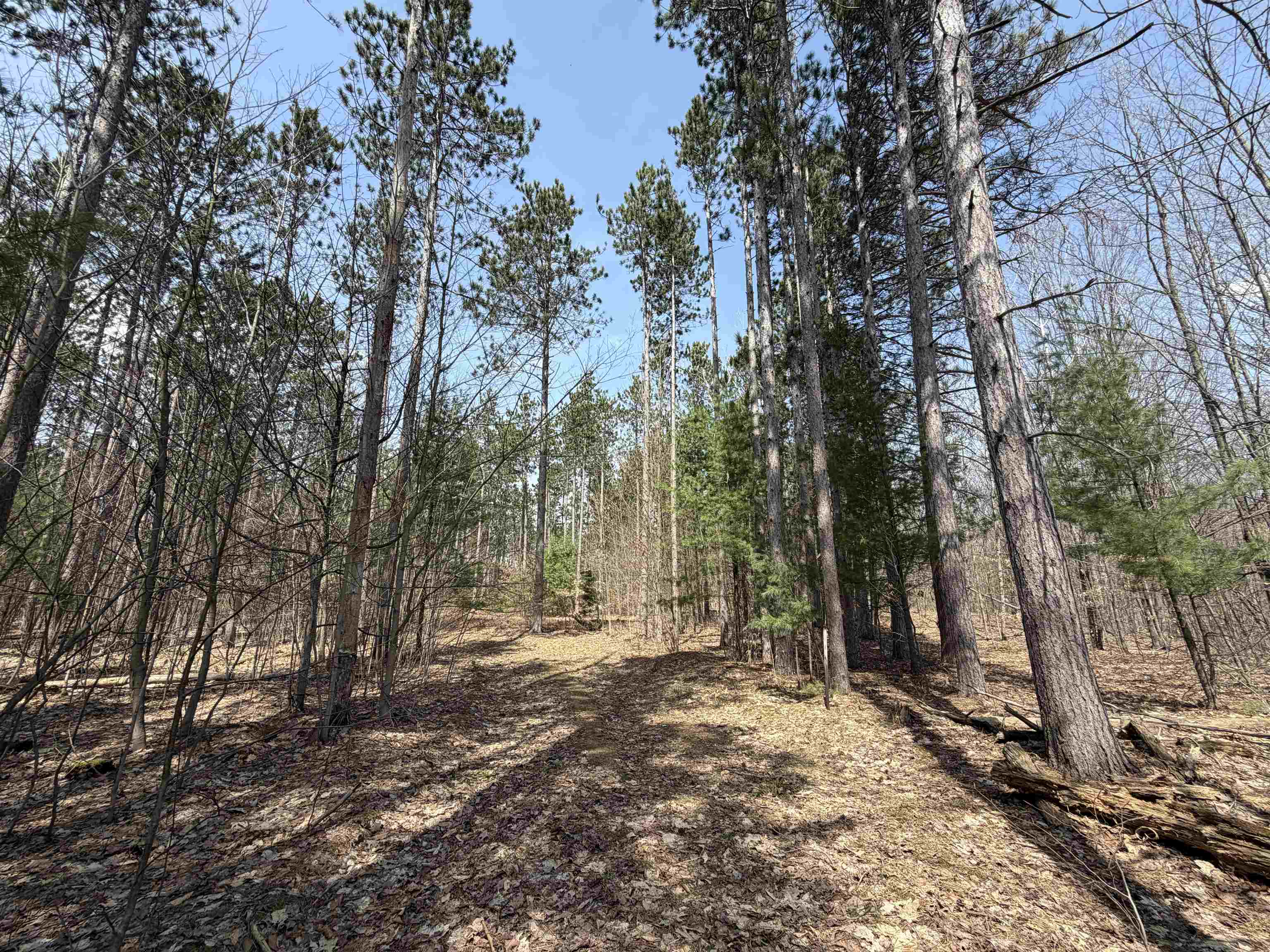 Hoosier Valley Road Property Photo 11