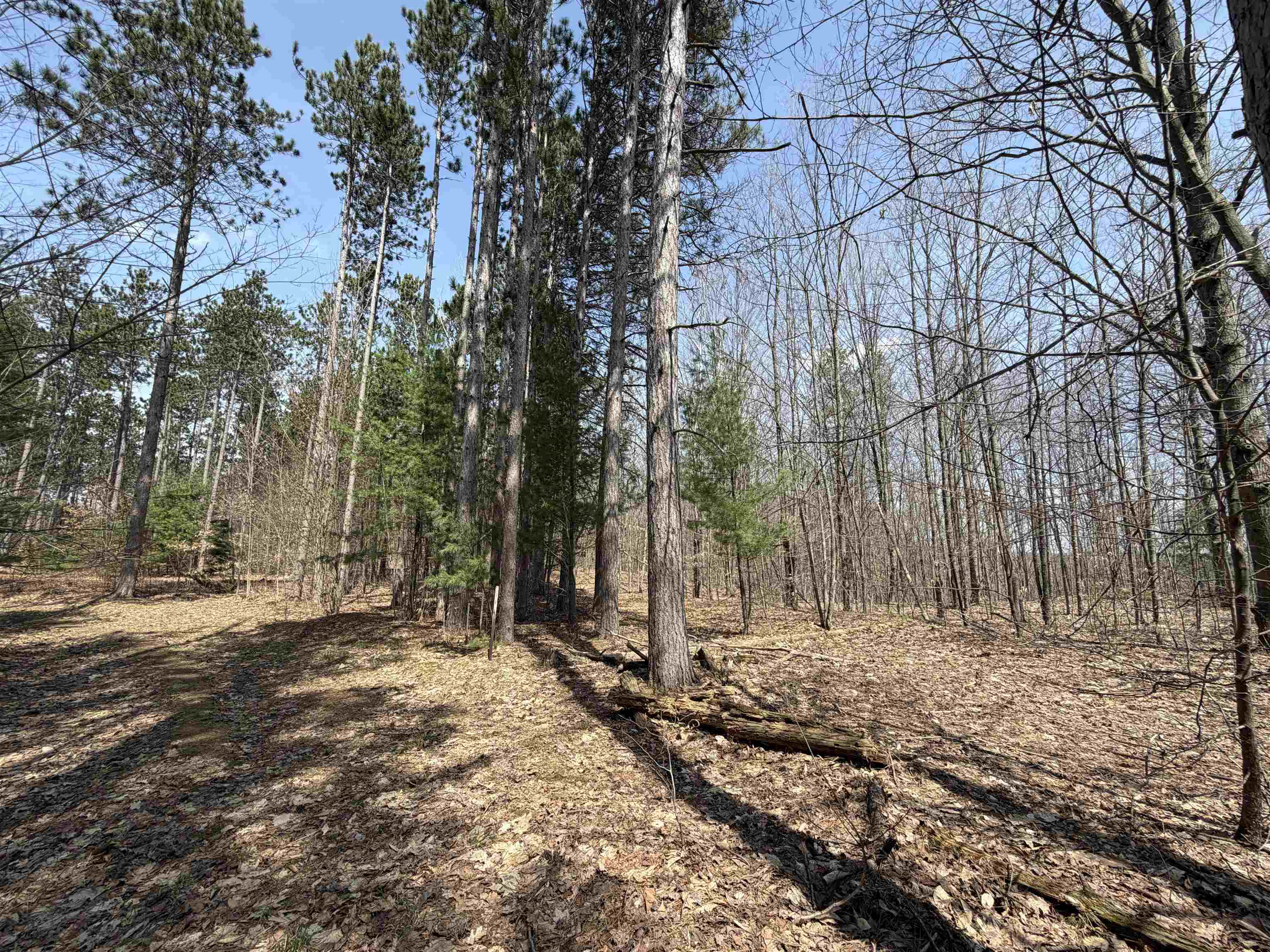 Hoosier Valley Road Property Photo 12