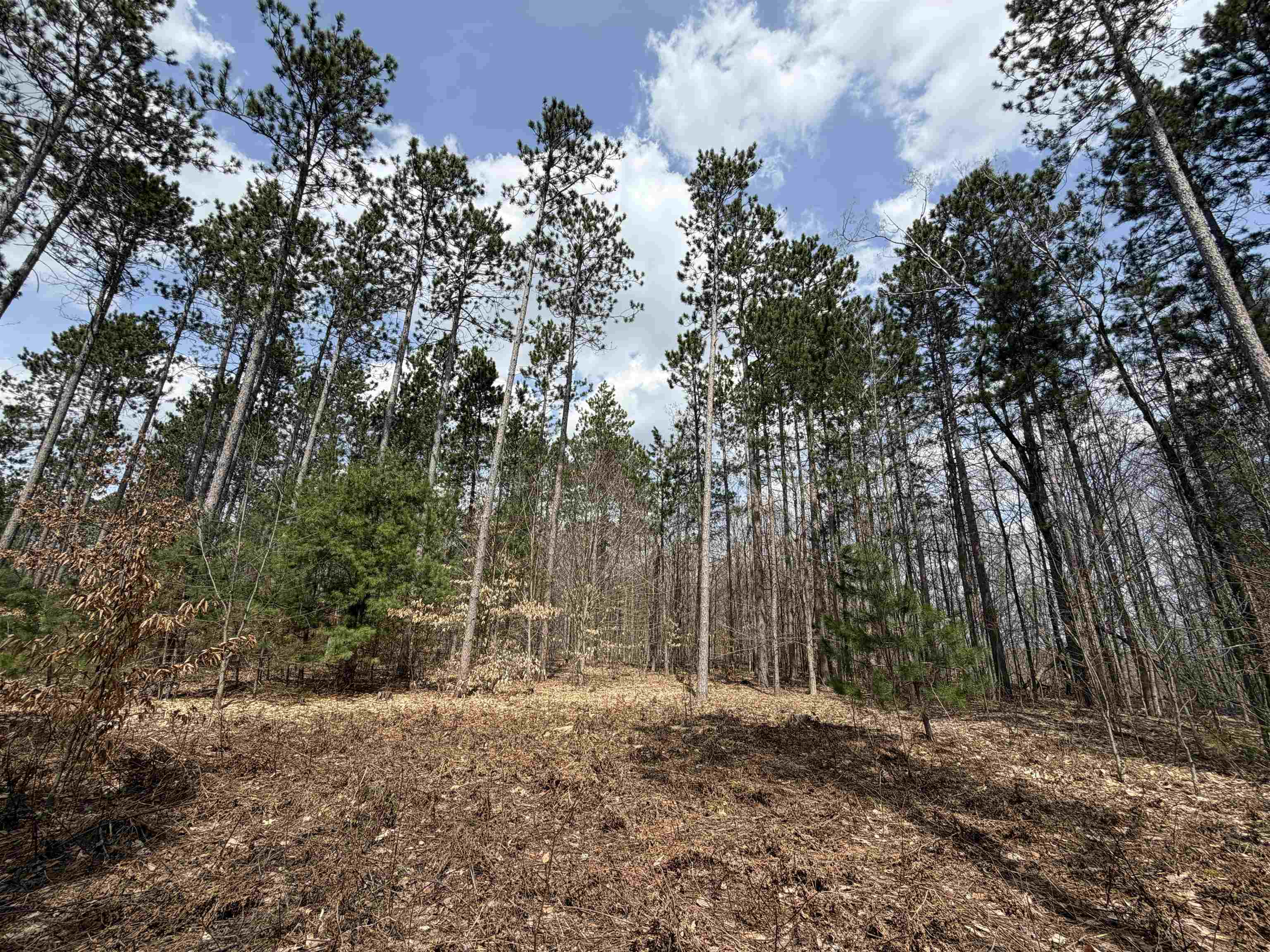 Hoosier Valley Road Property Photo 15