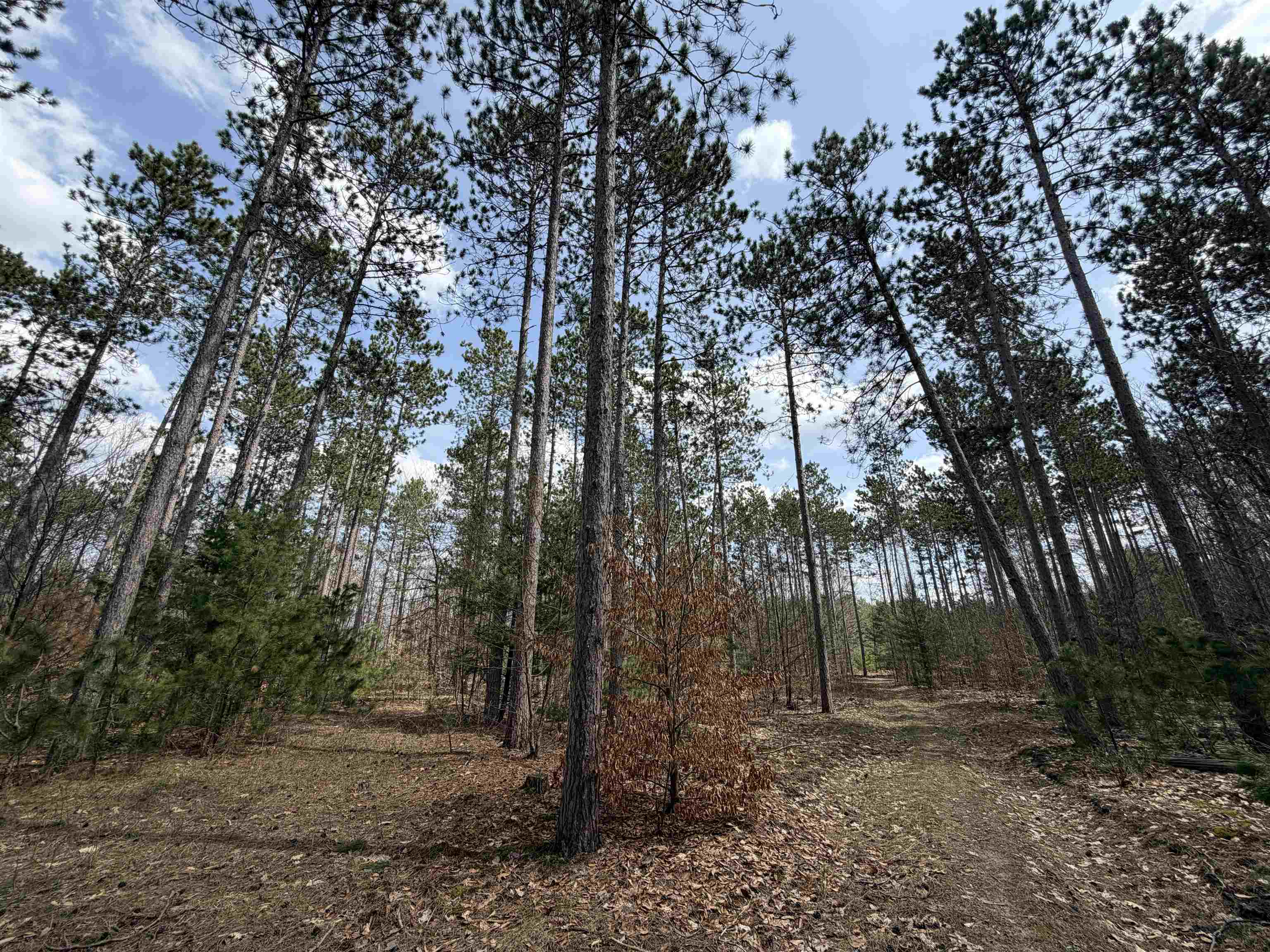 Hoosier Valley Road Property Photo 16
