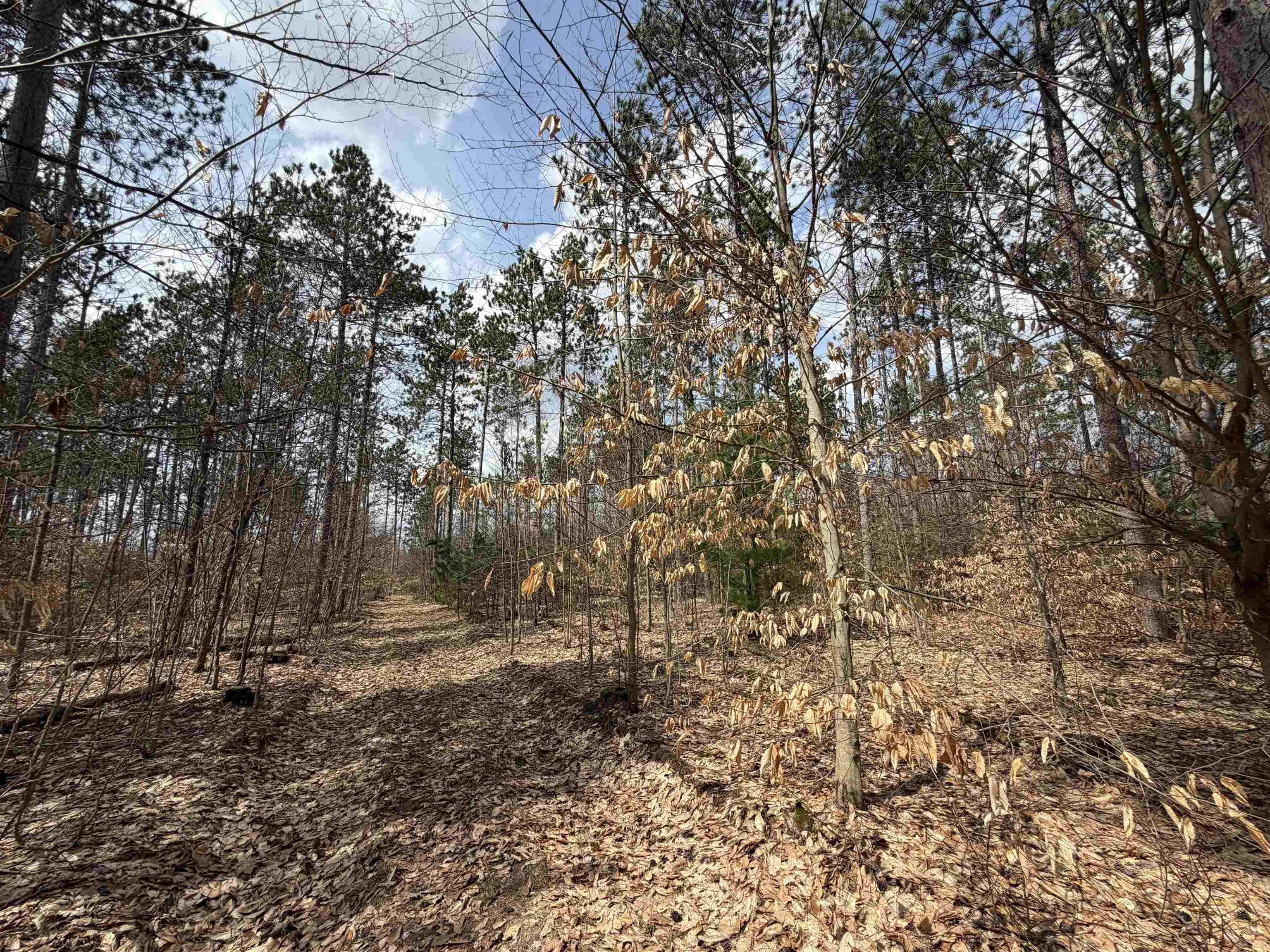 Hoosier Valley Road Property Photo 17