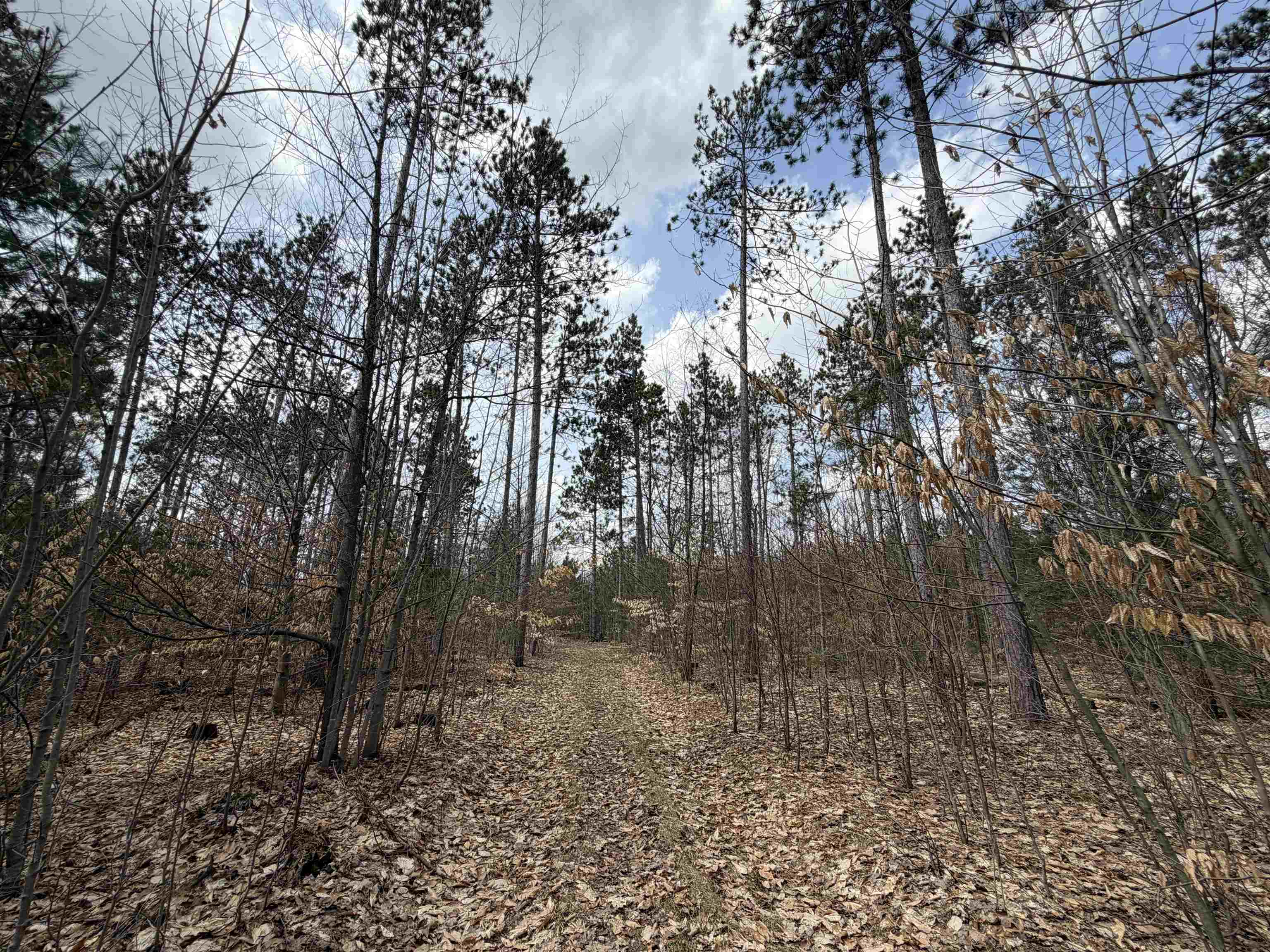 Hoosier Valley Road Property Photo 18