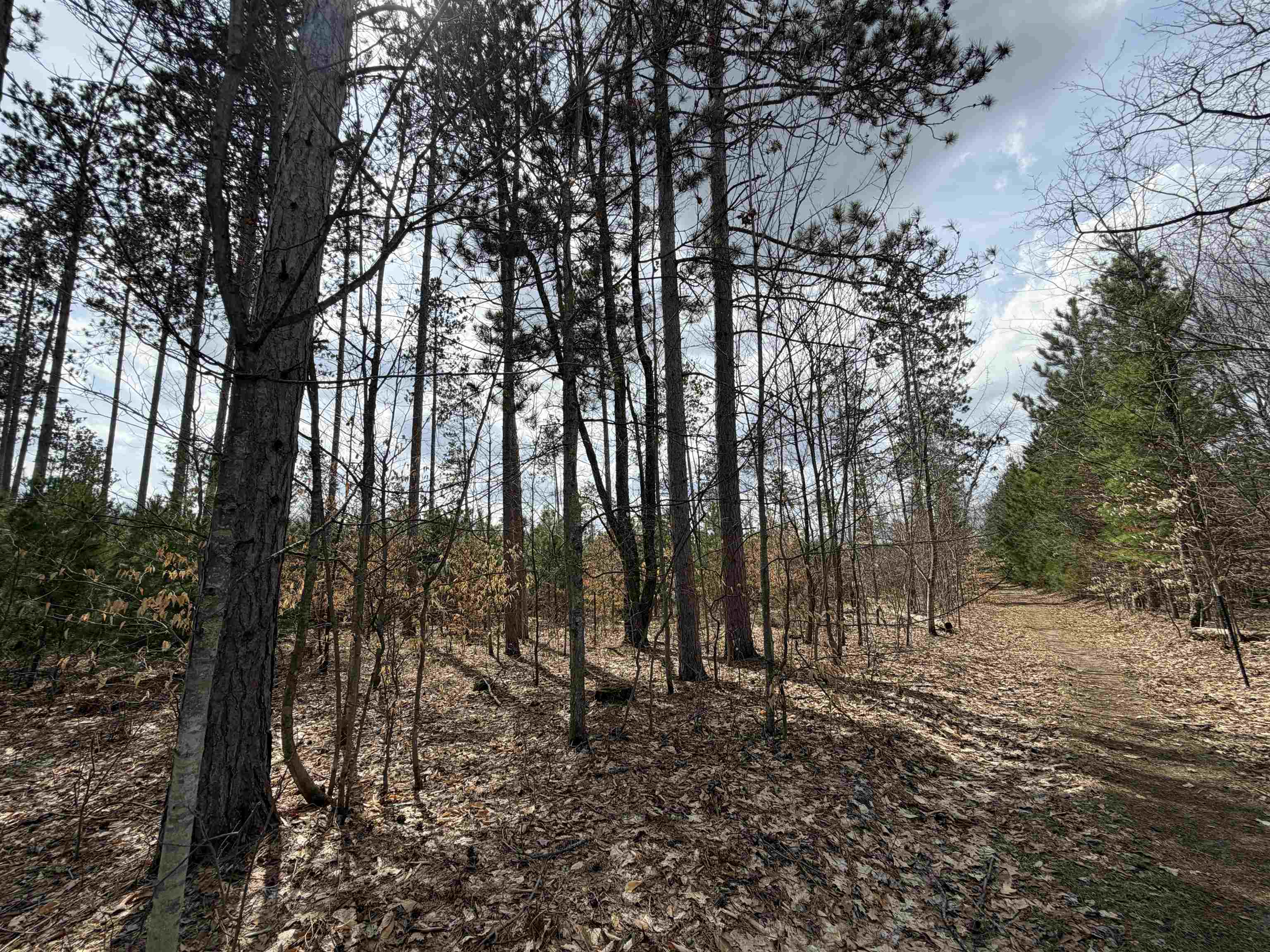 Hoosier Valley Road Property Photo 19
