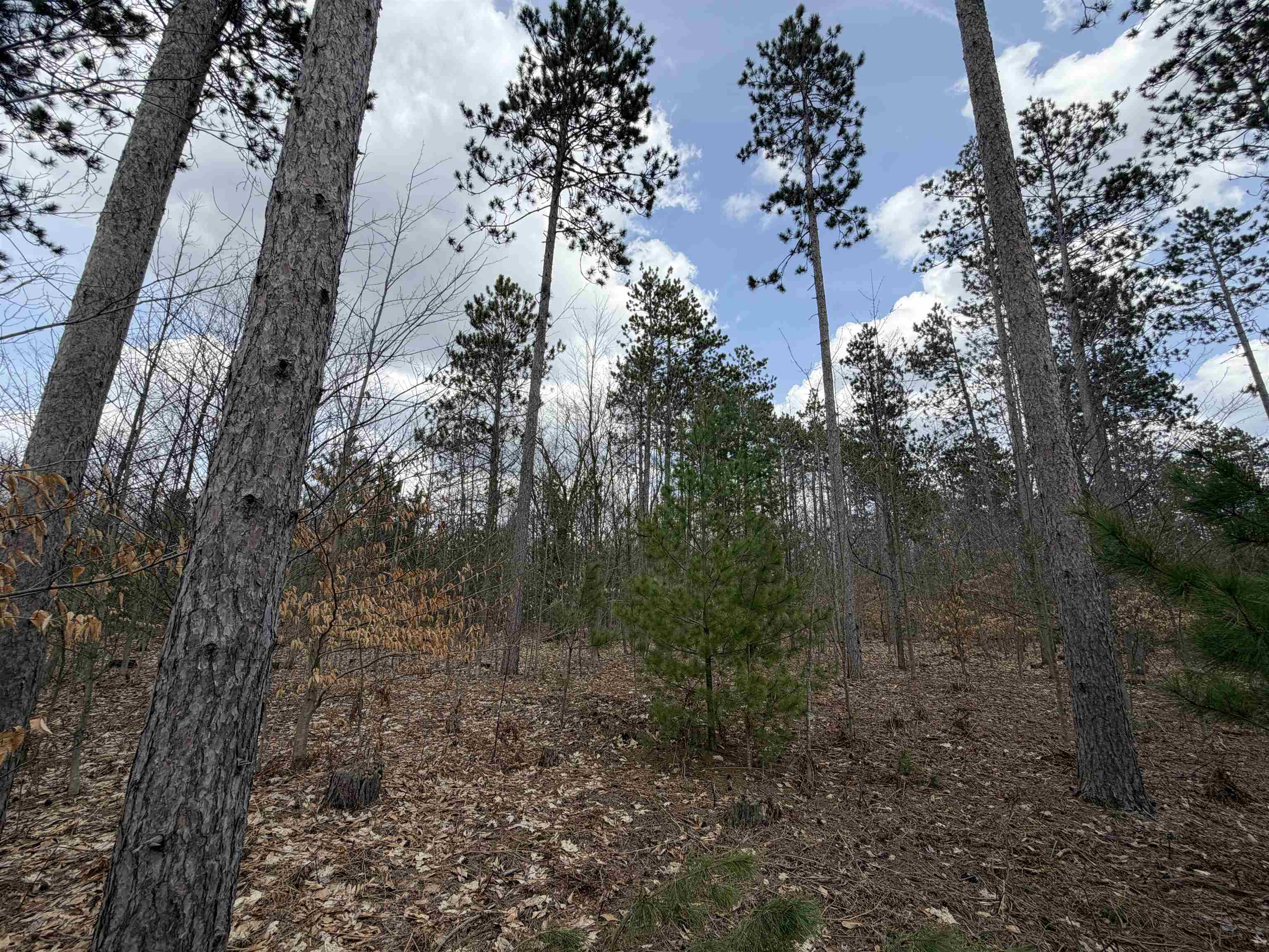 Hoosier Valley Road Property Photo 20