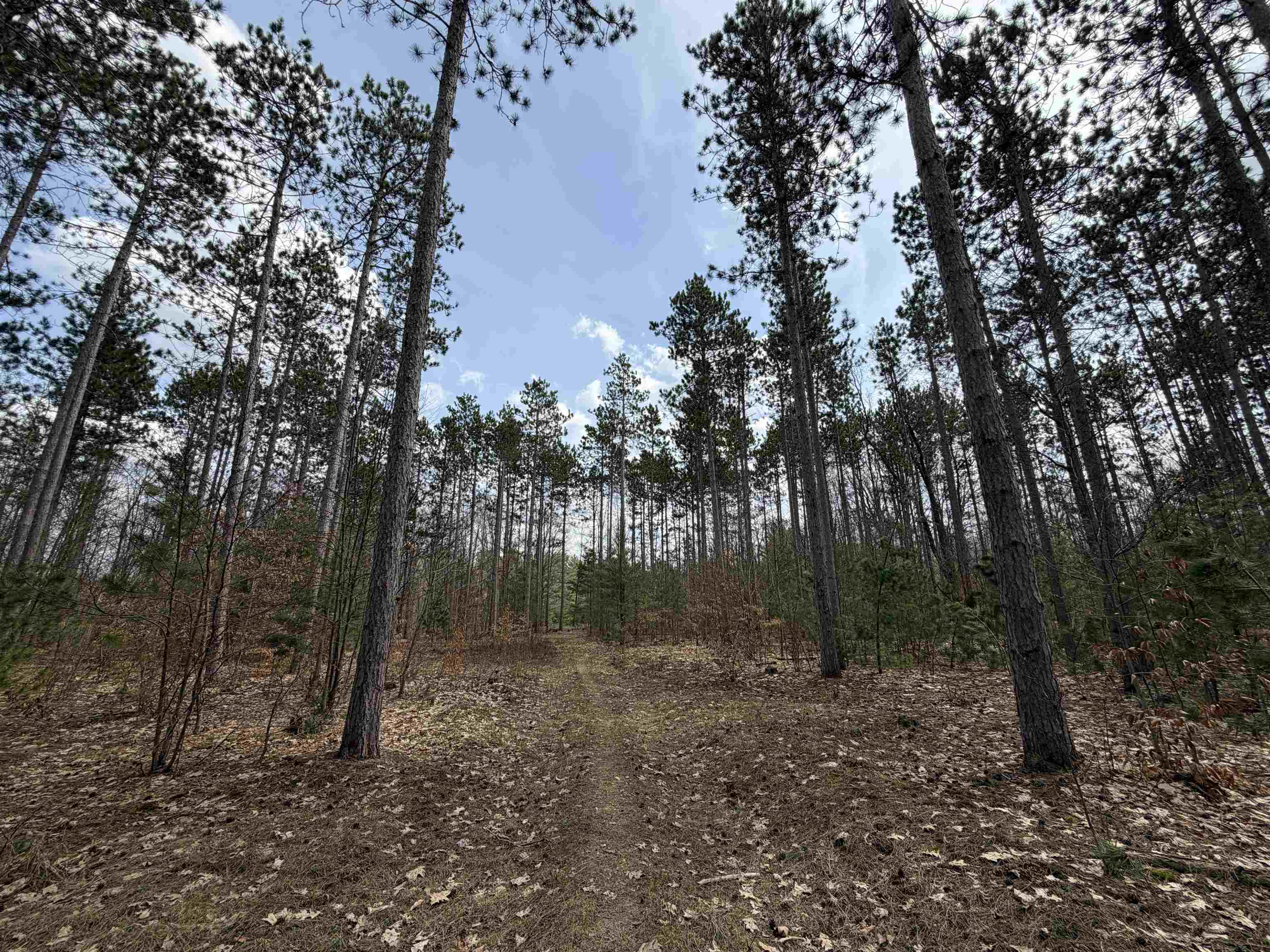 Hoosier Valley Road Property Photo 21
