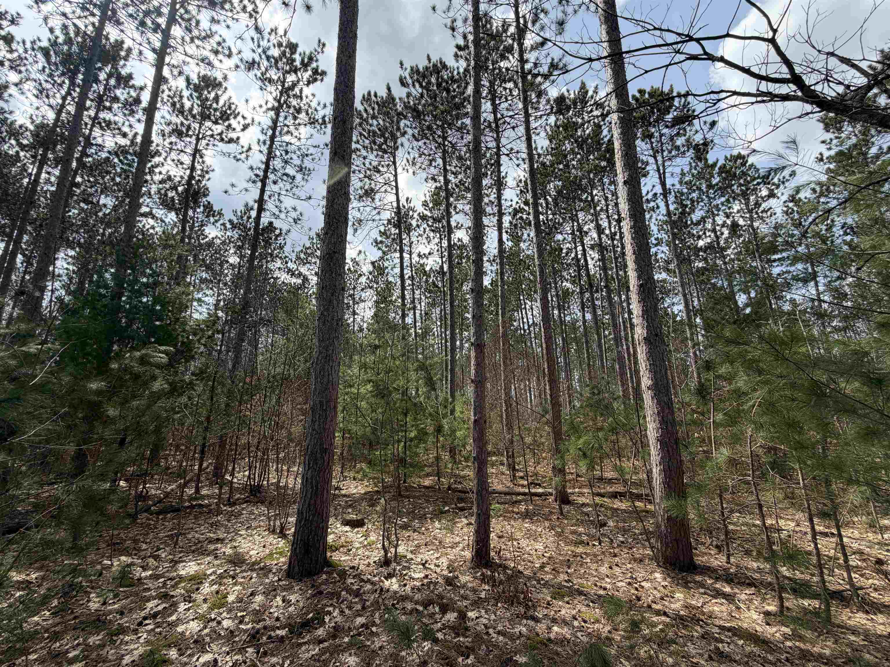 Hoosier Valley Road Property Photo 22