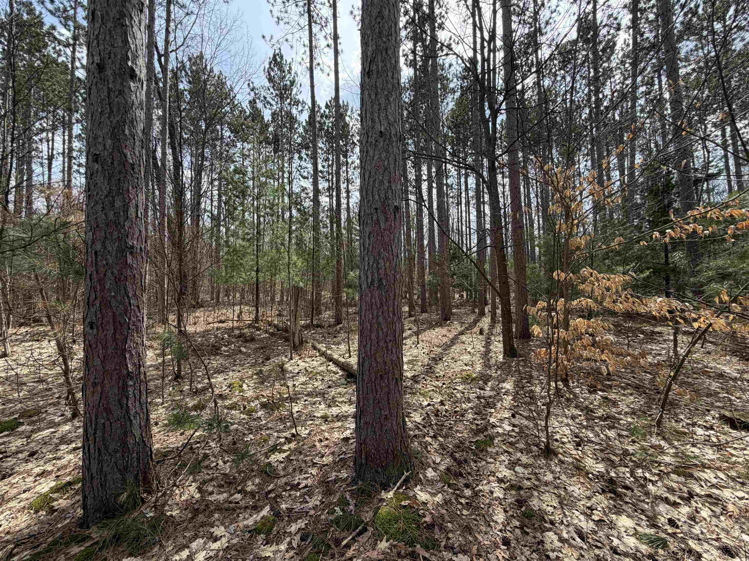 Hoosier Valley Road Property Photo 23