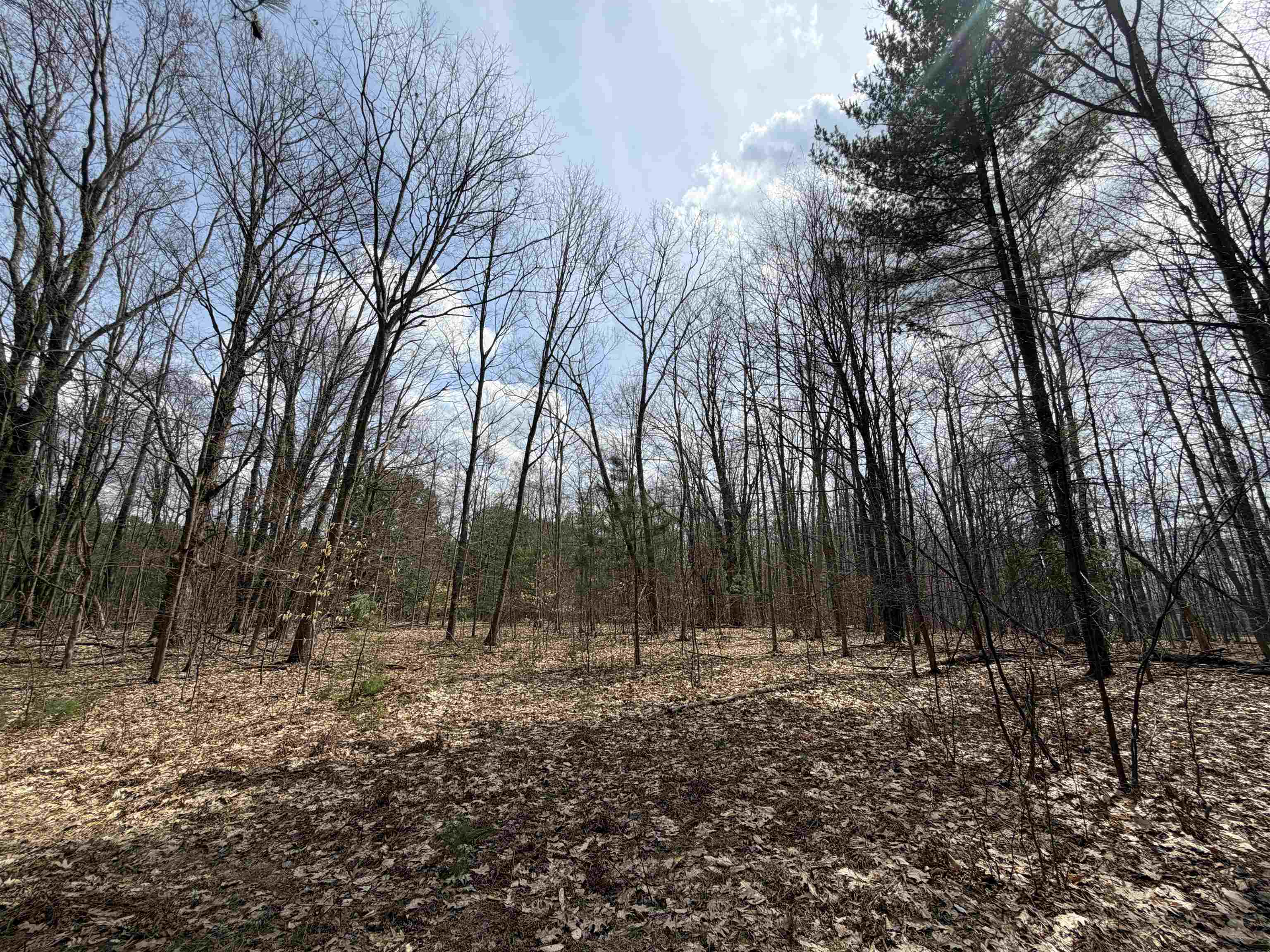 Hoosier Valley Road Property Photo 24