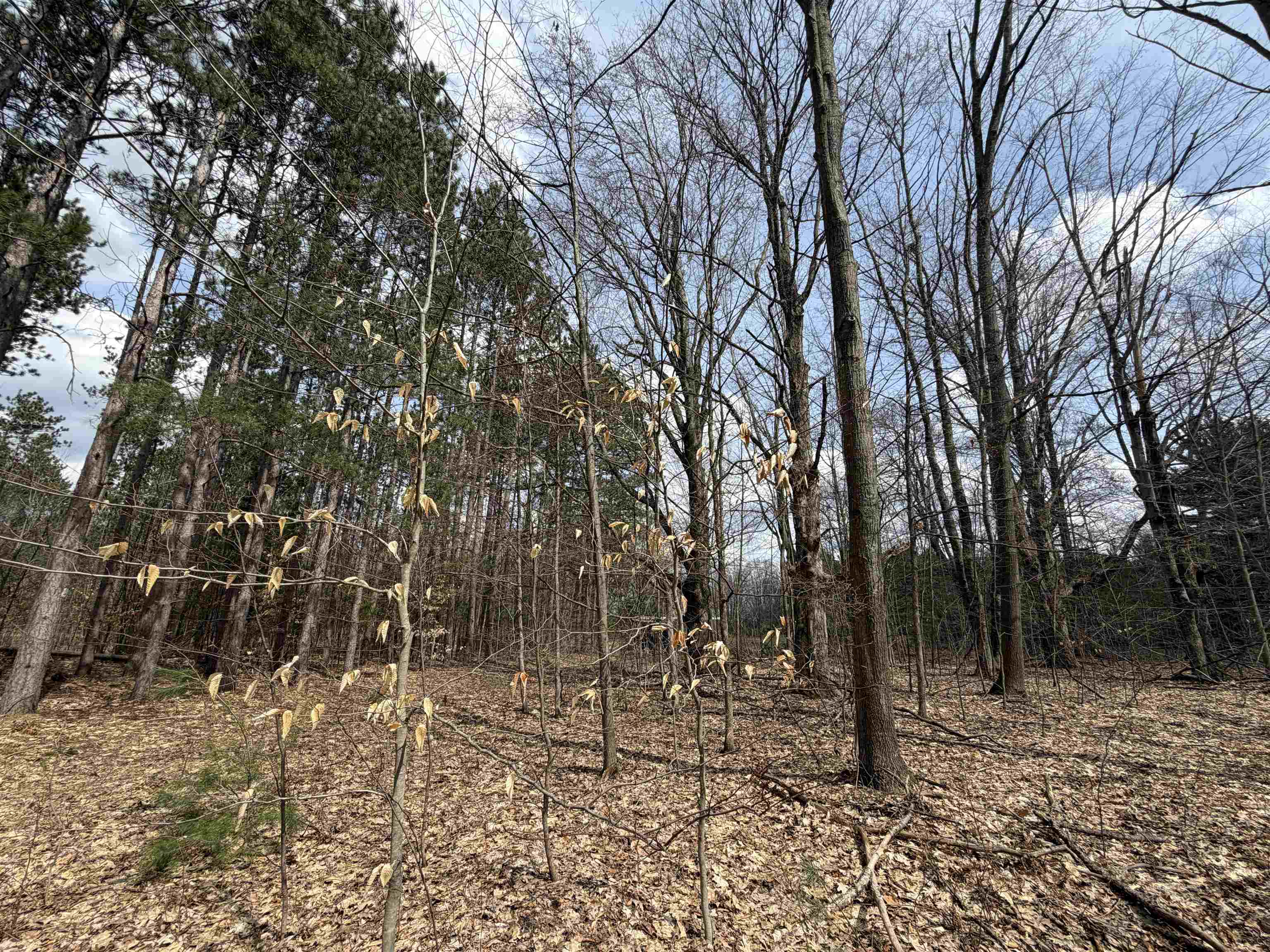 Hoosier Valley Road Property Photo 25