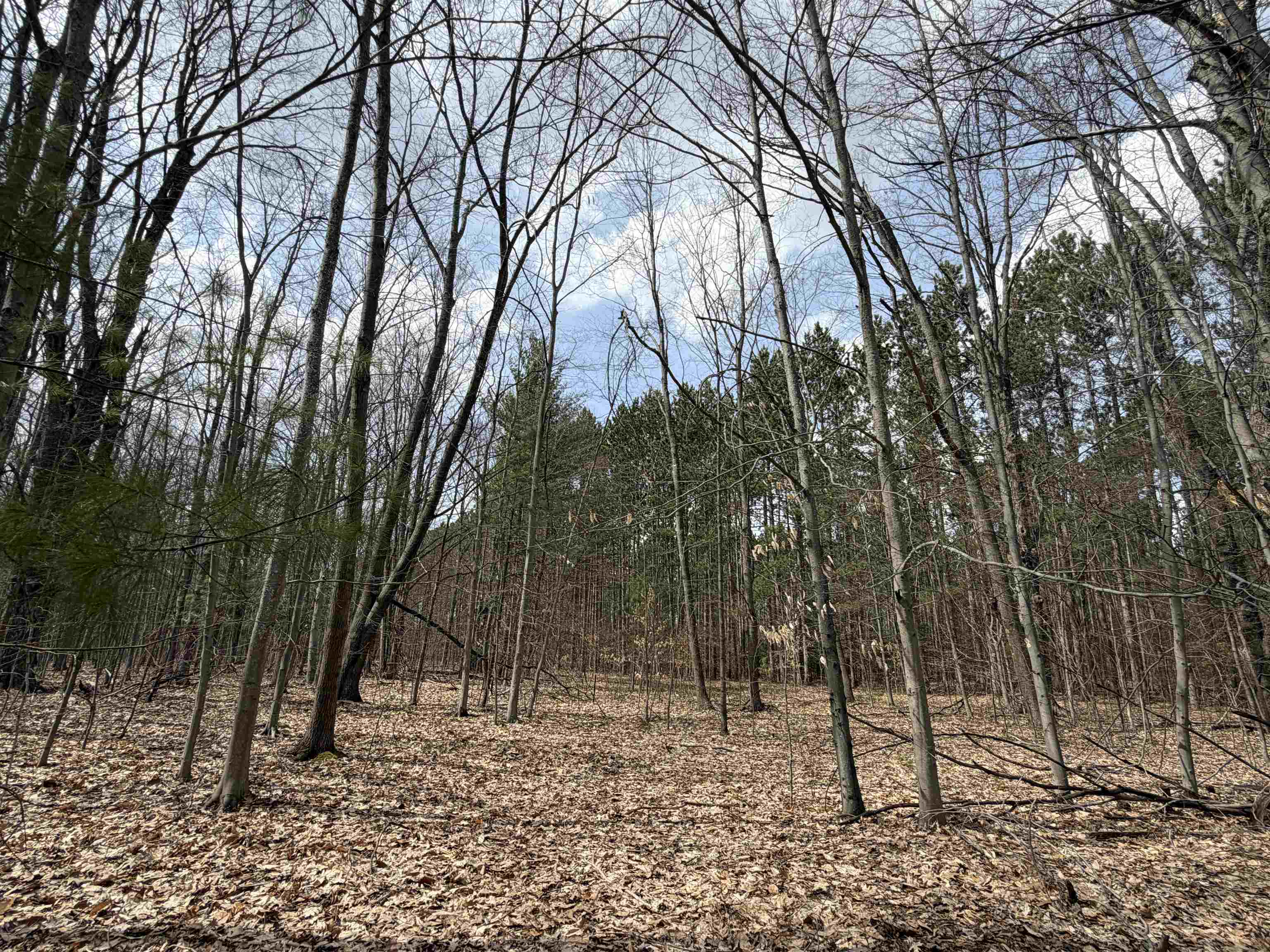 Hoosier Valley Road Property Photo 27