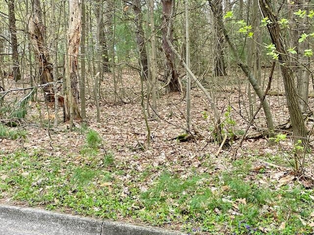 00 Brook Avenue Property Photo 7