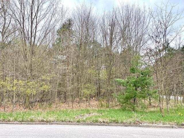 00 Brook Avenue Property Photo 3