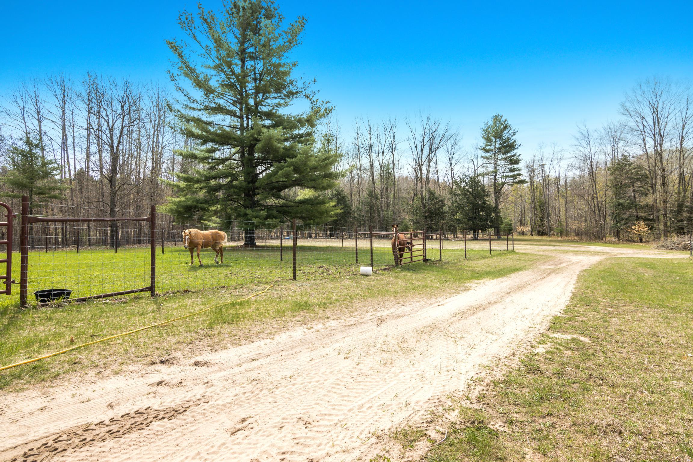 8124 Crisp Road Property Photo 49