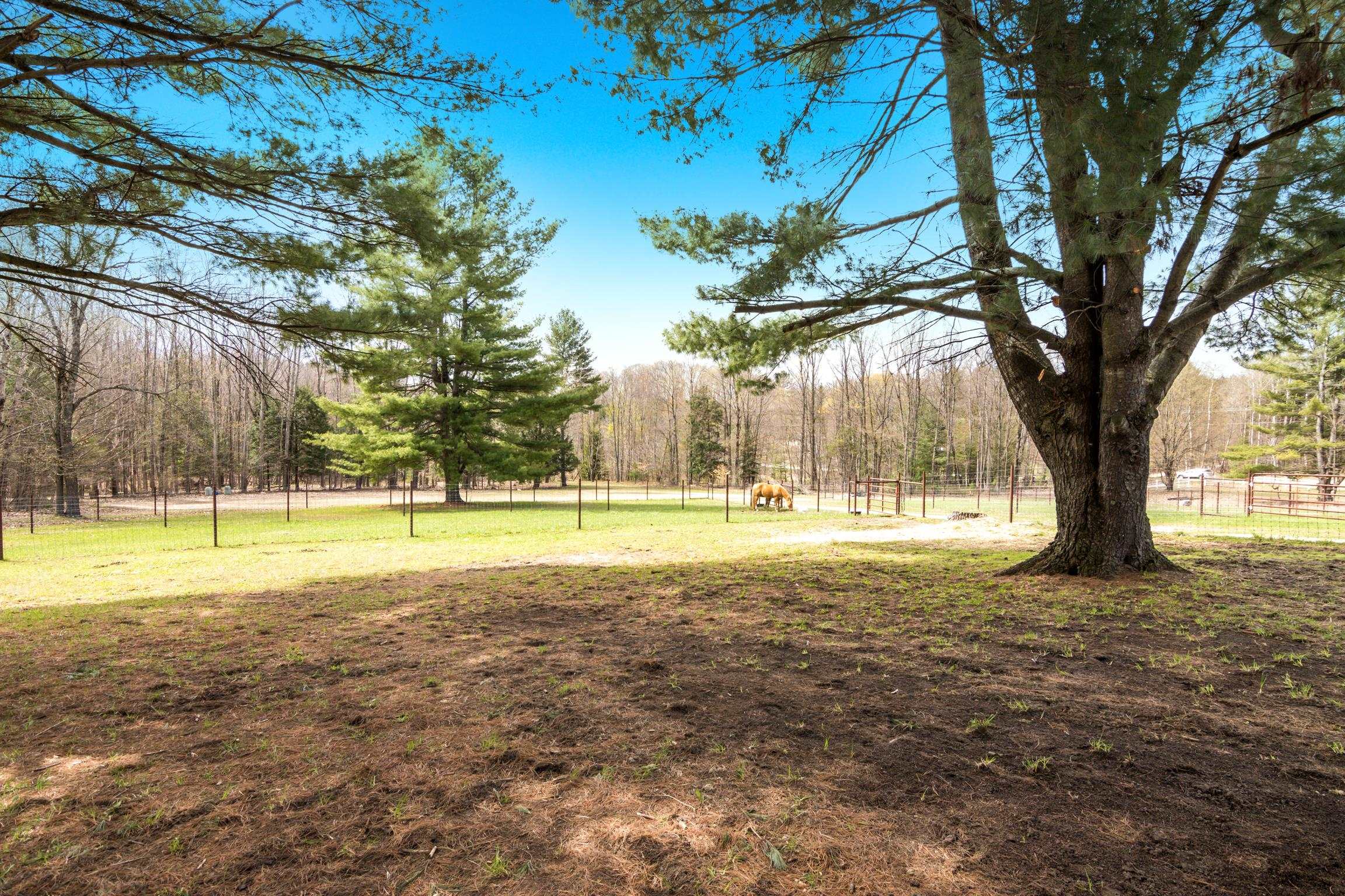 8124 Crisp Road Property Photo 60