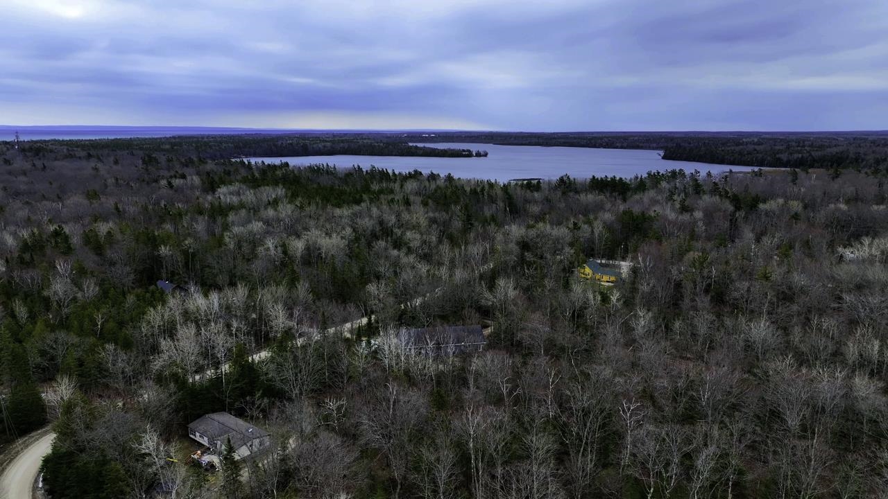 27646 White Cedar Drive Property Photo 46