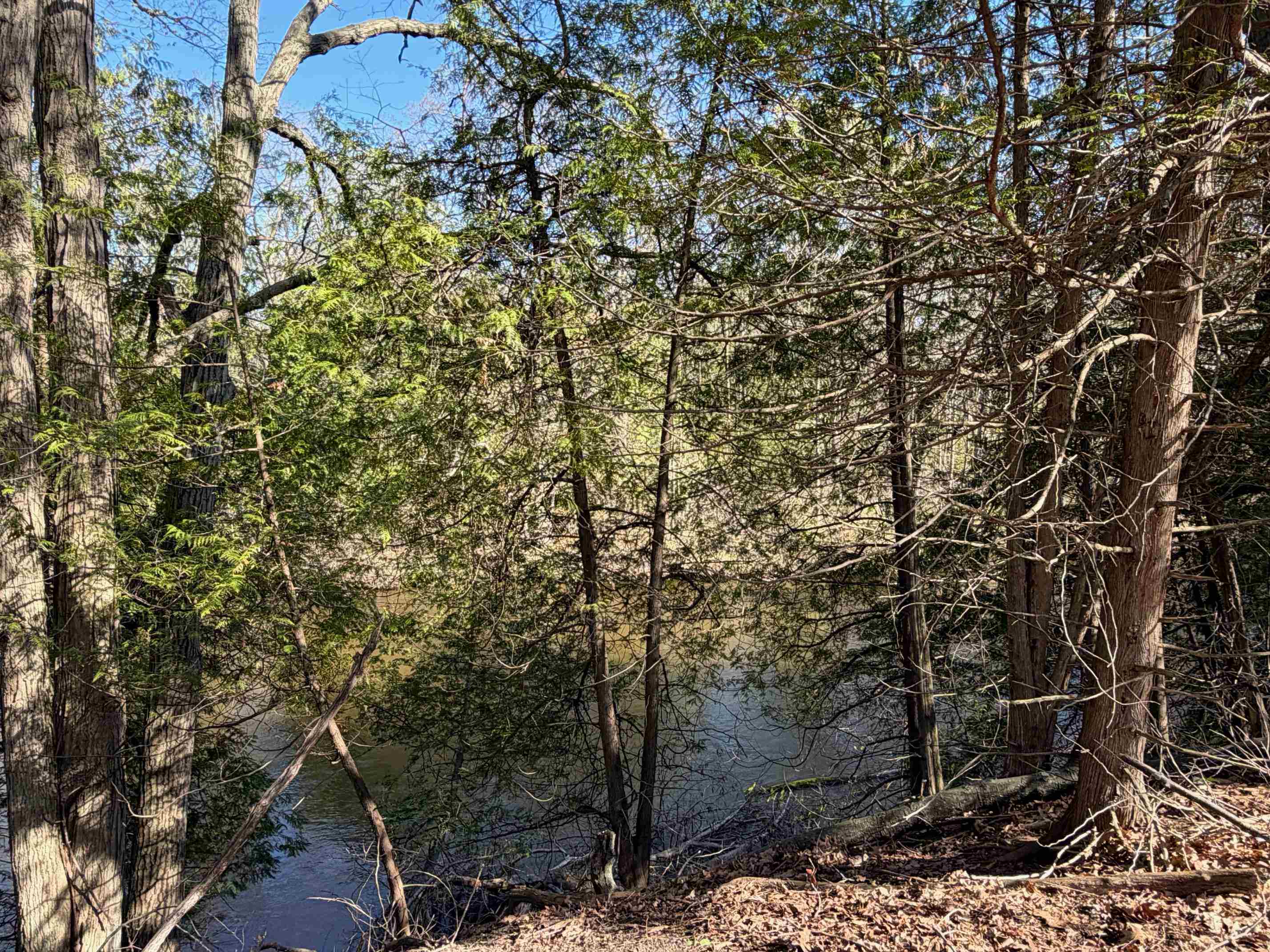 Tbd S Loomis Road Property Photo 1