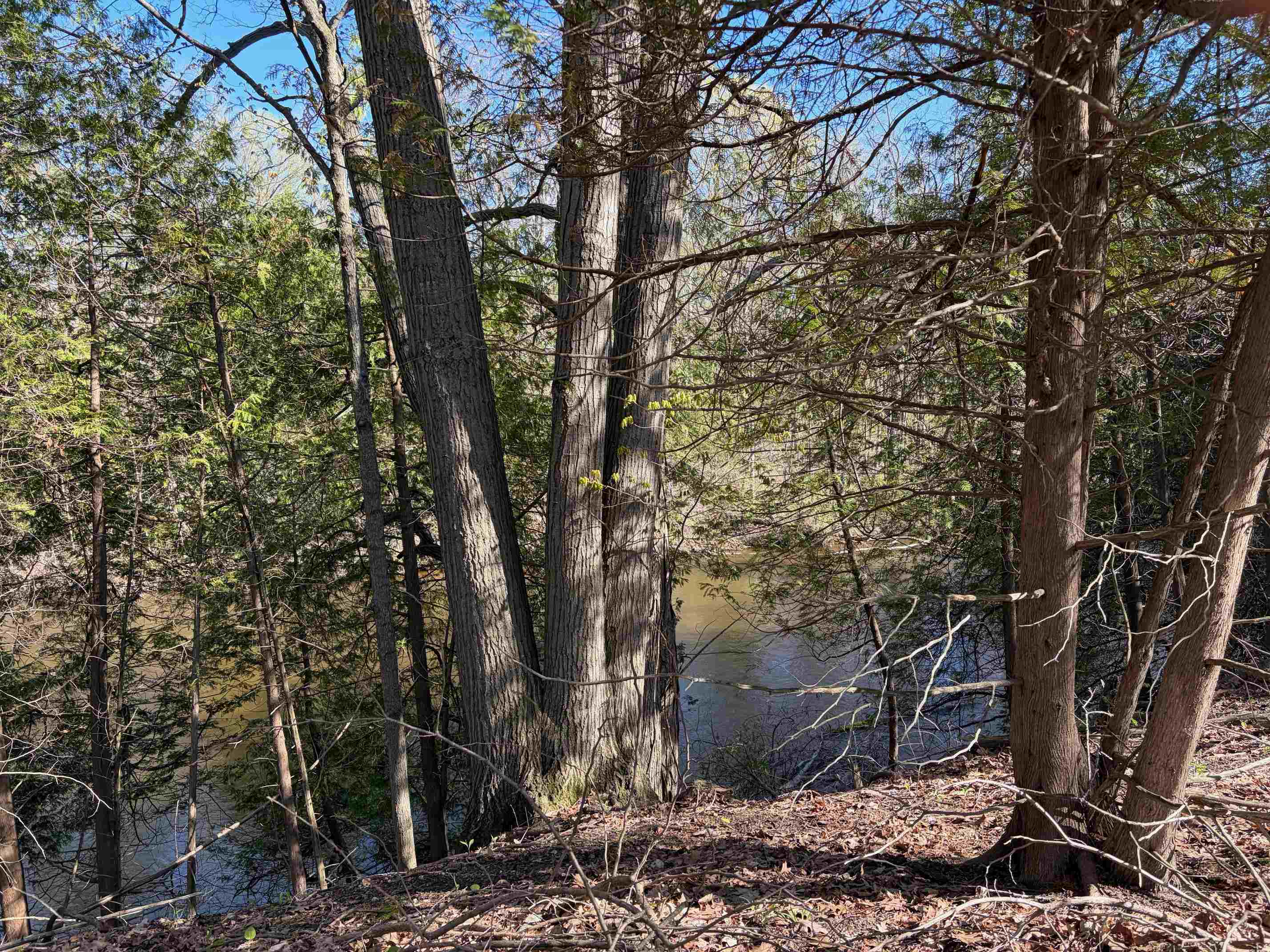 Tbd S Loomis Road Property Photo 2