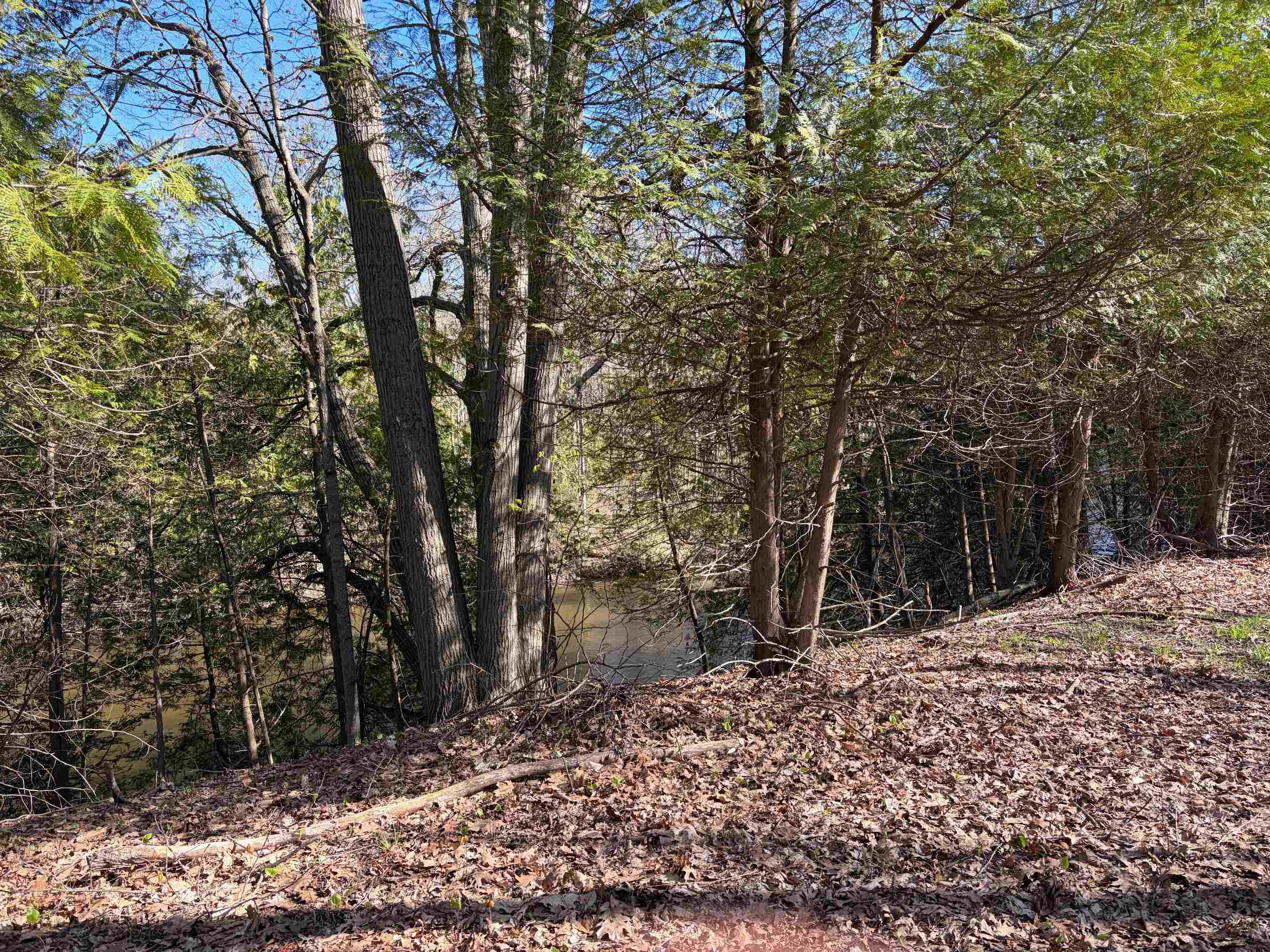 Tbd S Loomis Road Property Photo 3