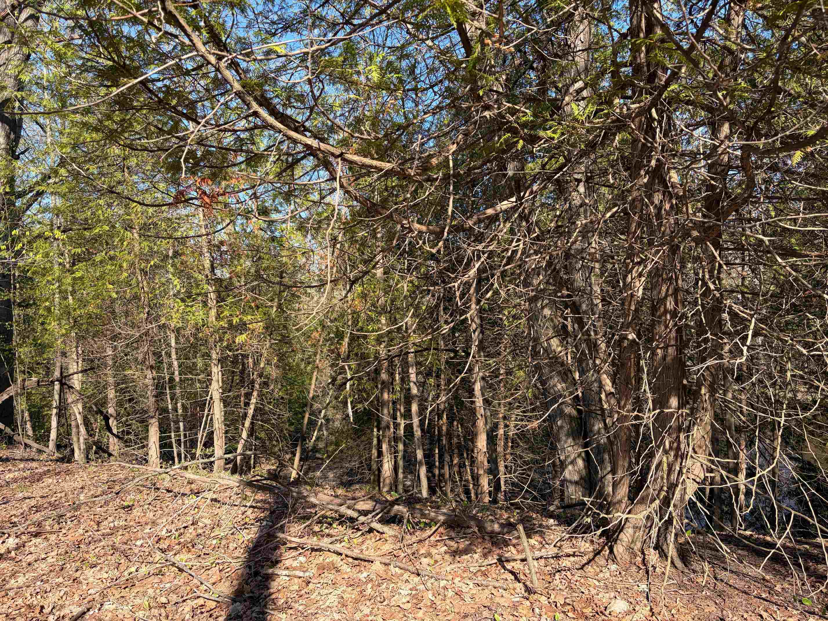 Tbd S Loomis Road Property Photo 4