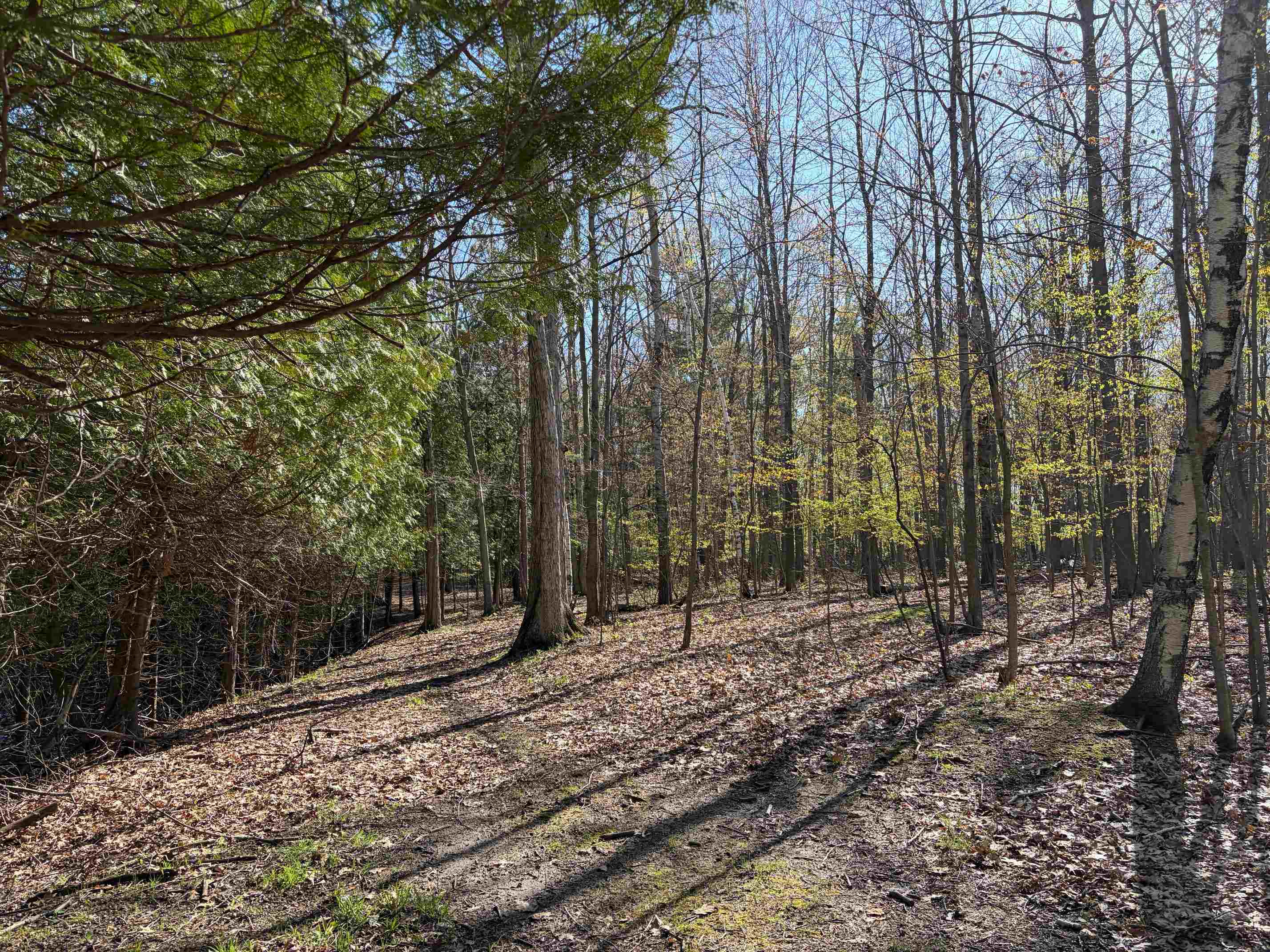 Tbd S Loomis Road Property Photo 5
