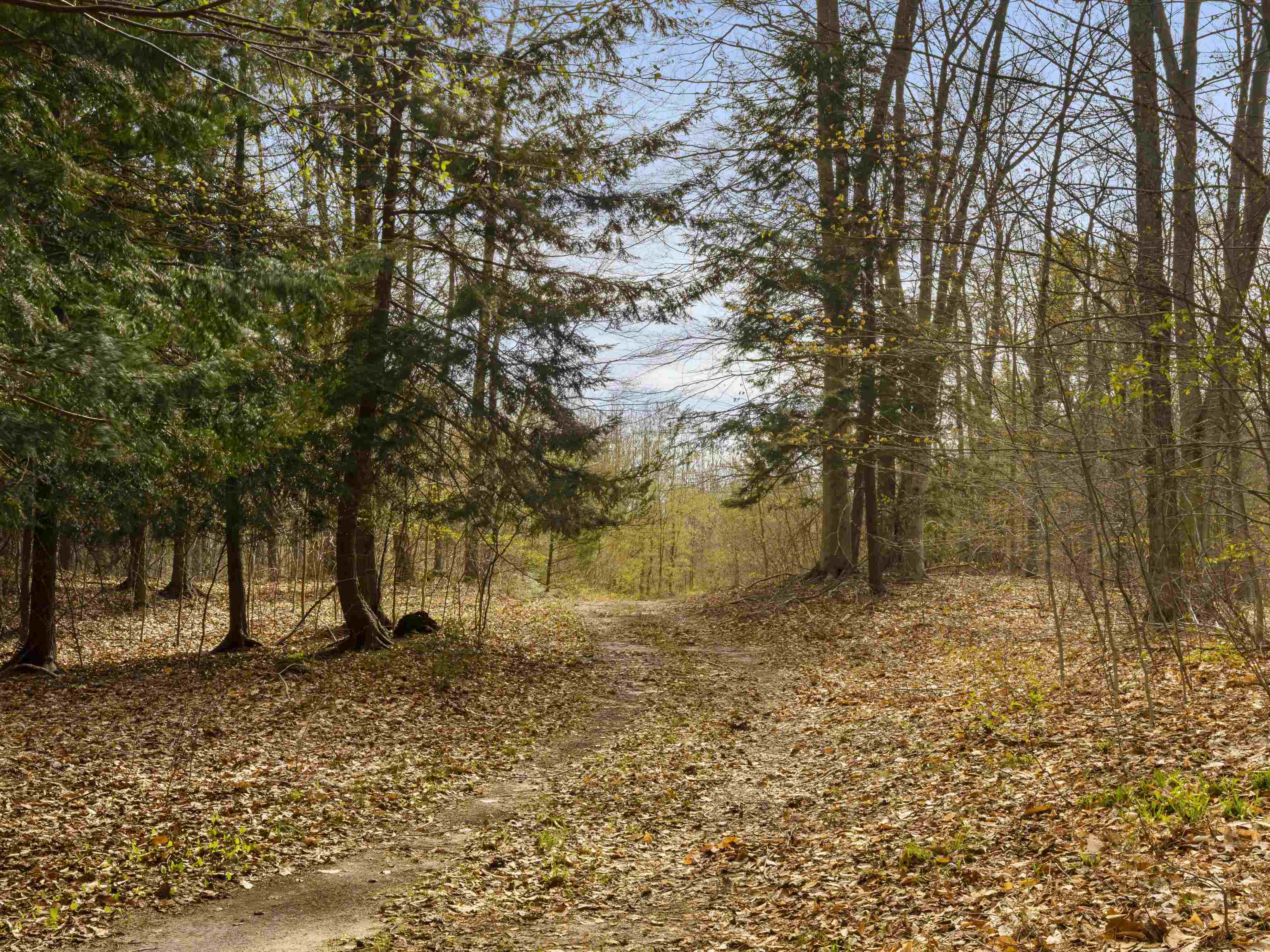 00 Benzie Highway Property Photo 2