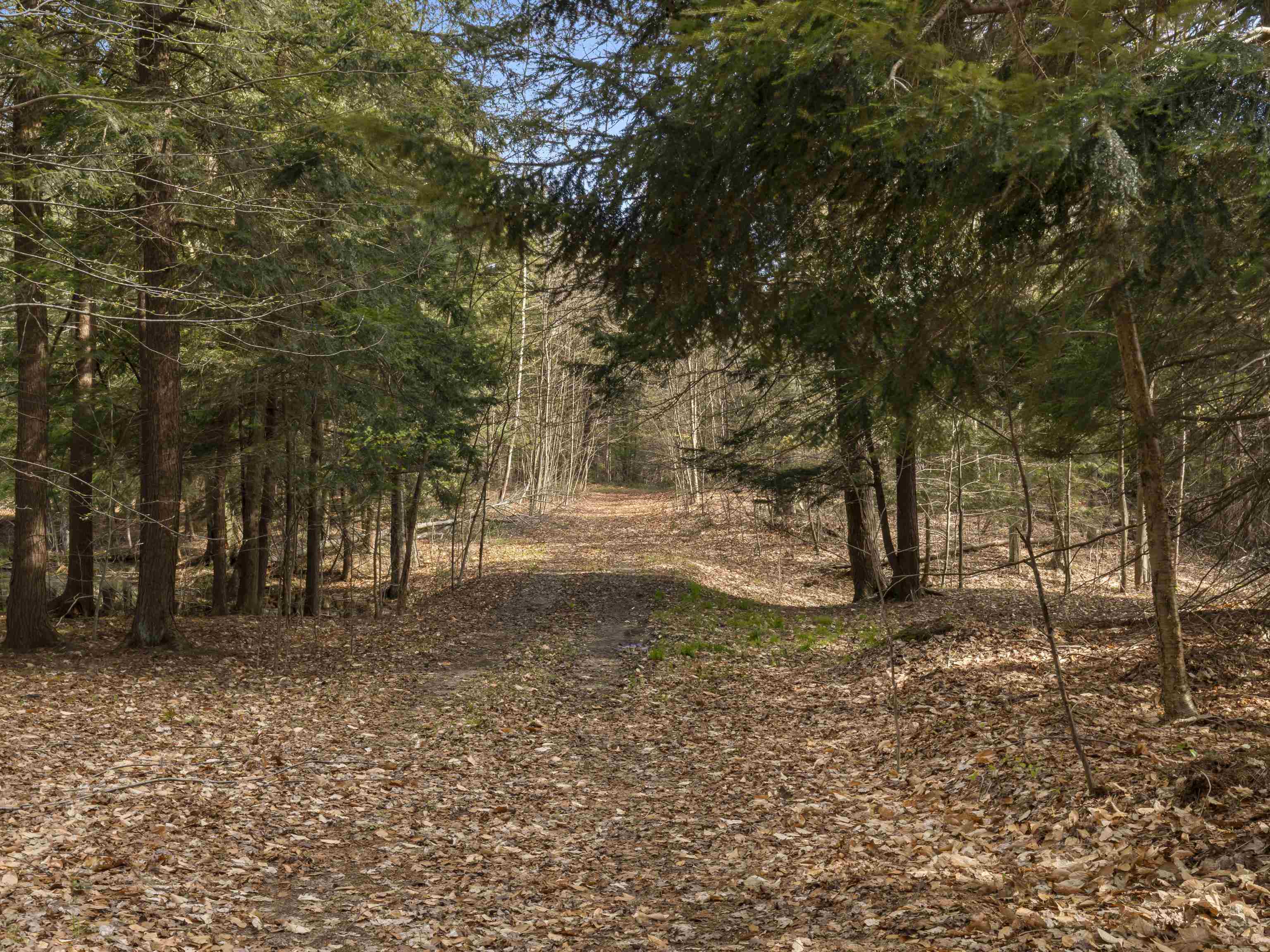 00 Benzie Highway Property Photo 3