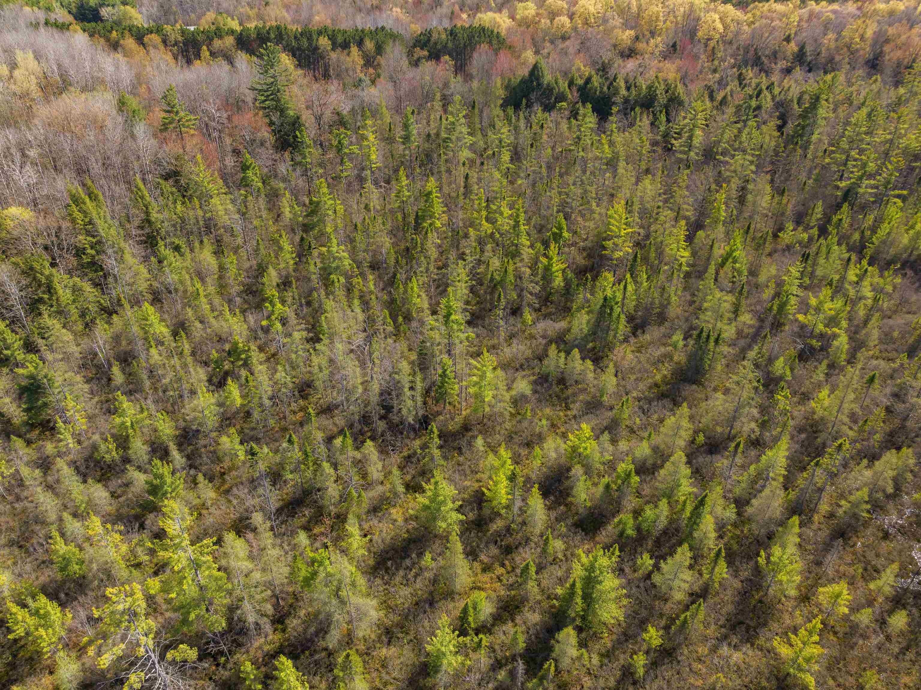 00 Benzie Highway Property Photo 7