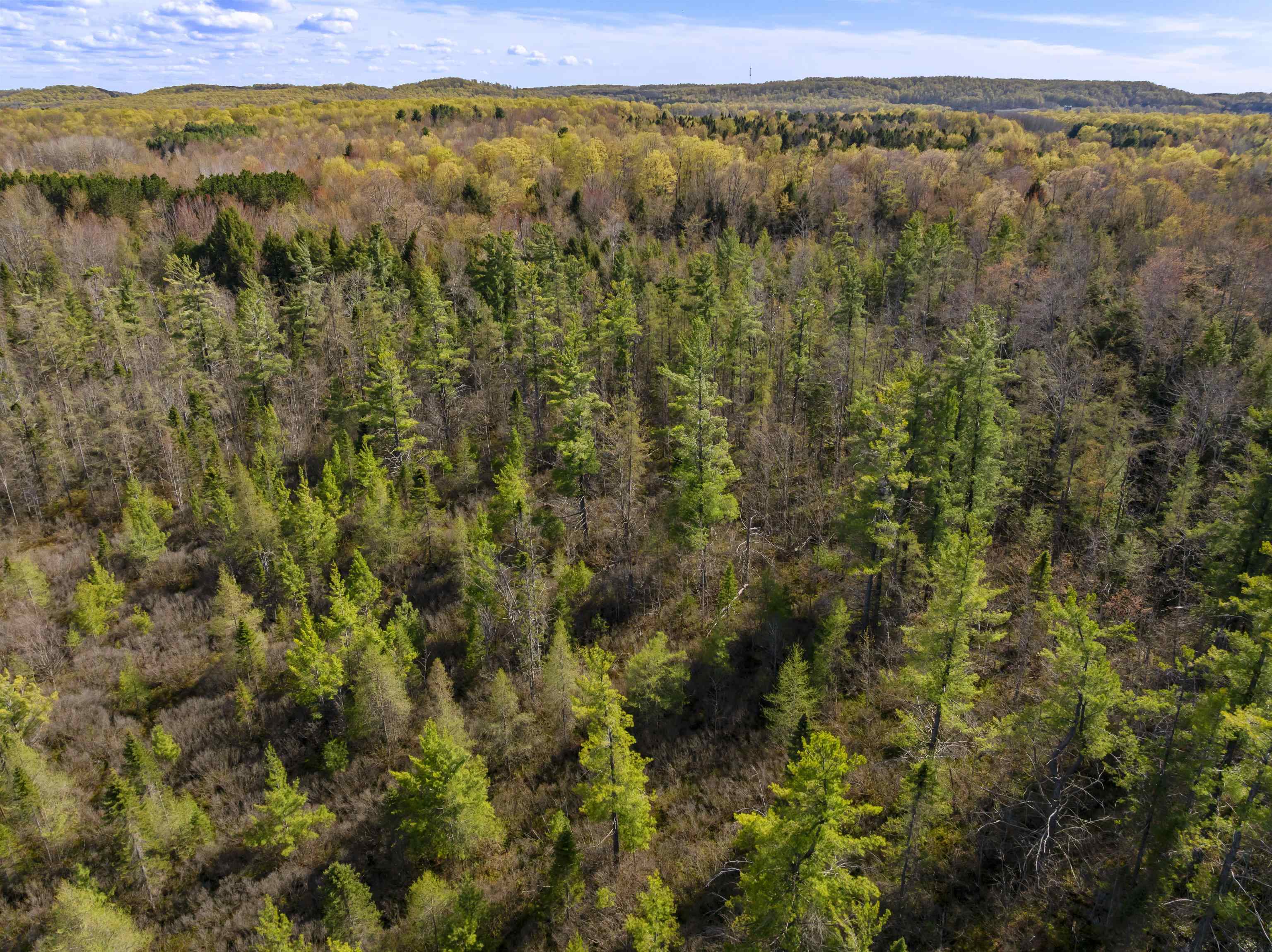 00 Benzie Highway Property Photo 10
