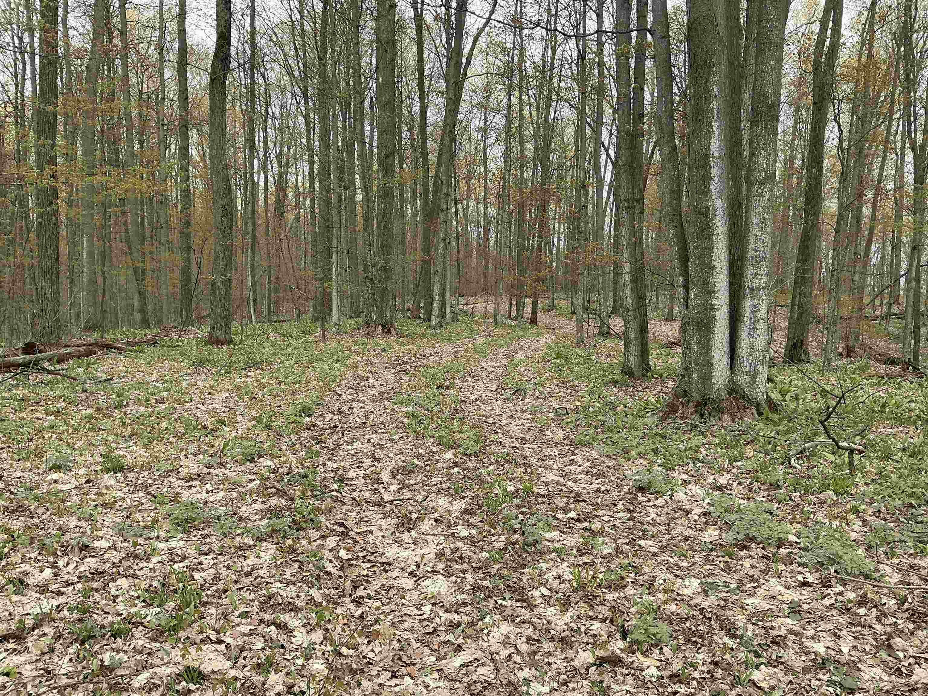 20 Acres Zimmerman Road Property Photo 1