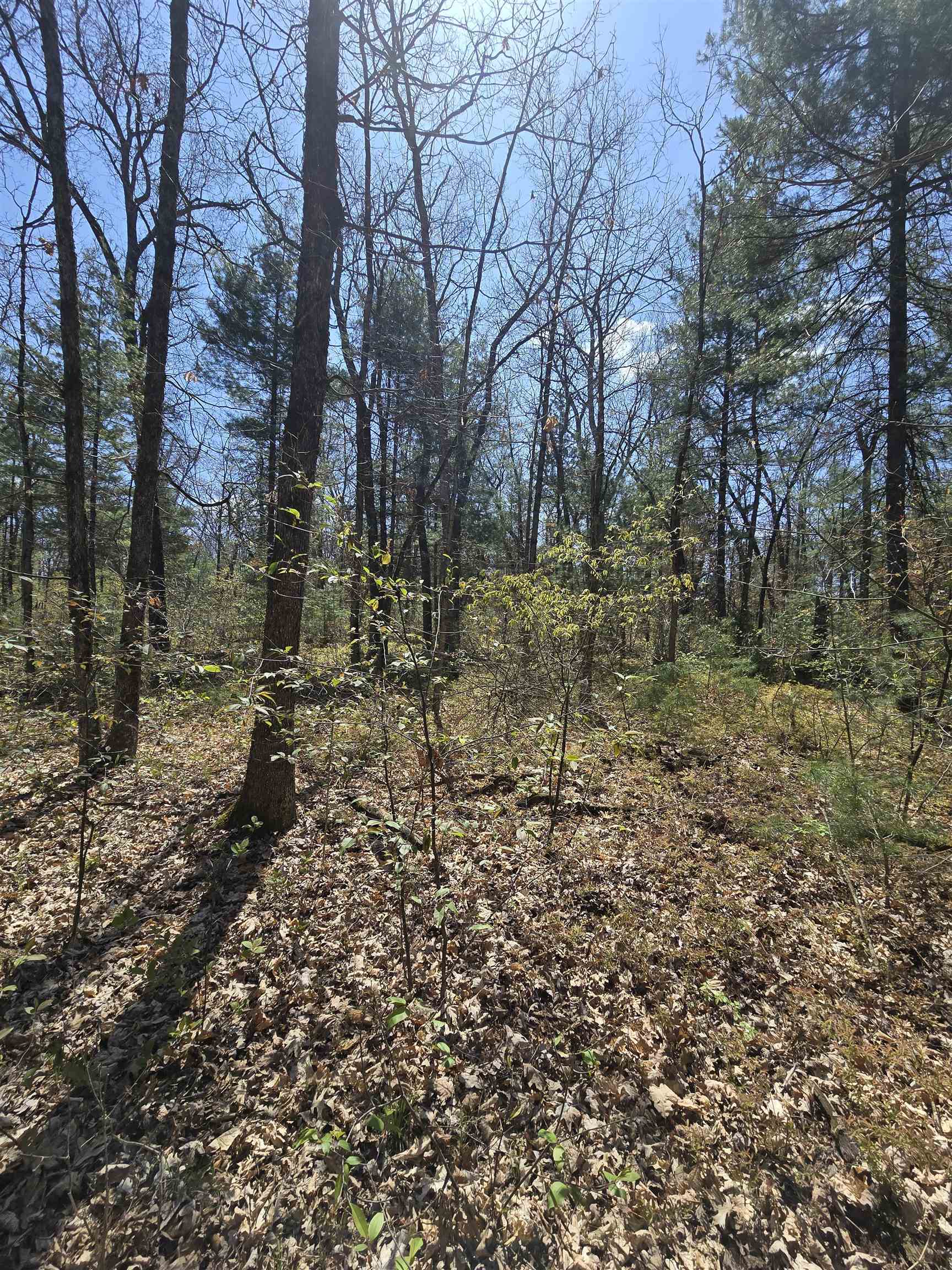 Tbd S Locust Avenue Property Photo 1