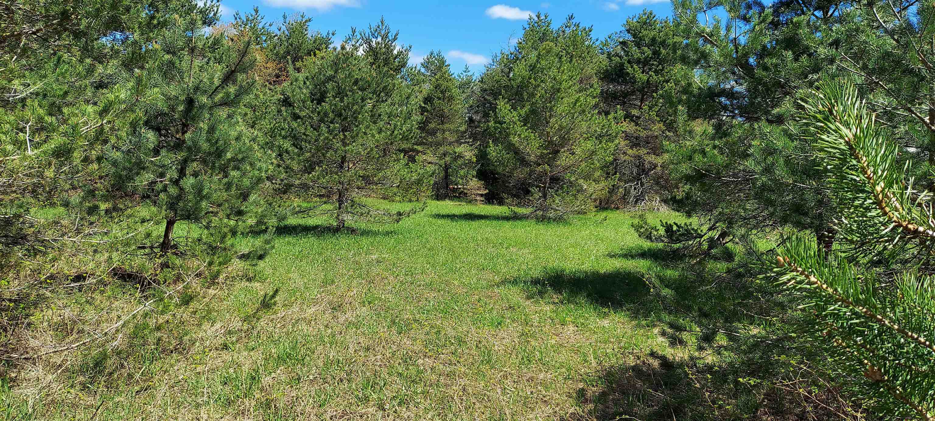 Tbd Johnson Road Property Photo 1