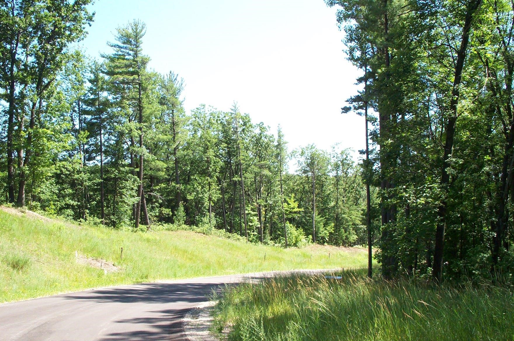 6366 Cedarmere Property Photo 3