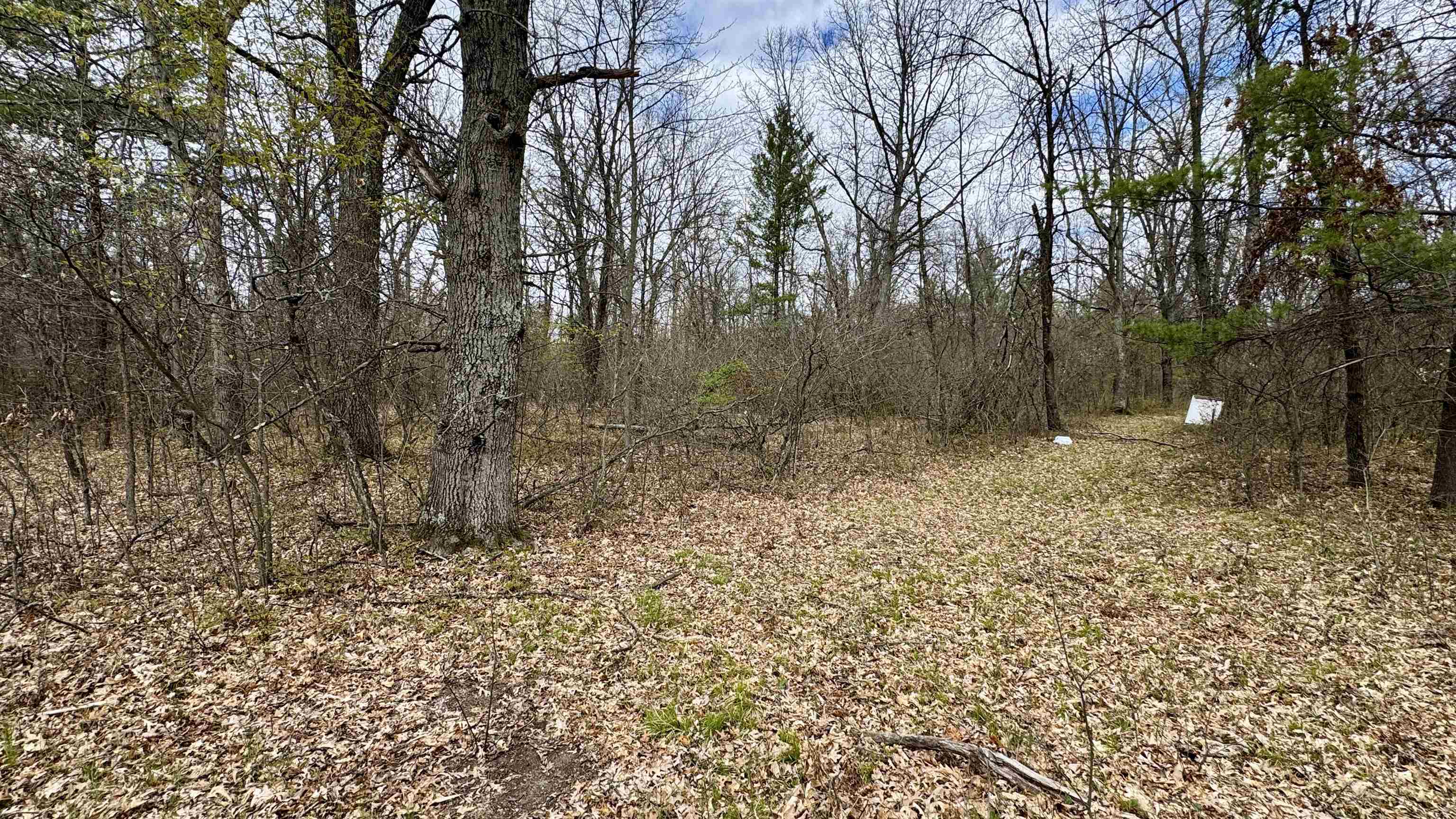 1496 17 Mile Road Property Photo 12