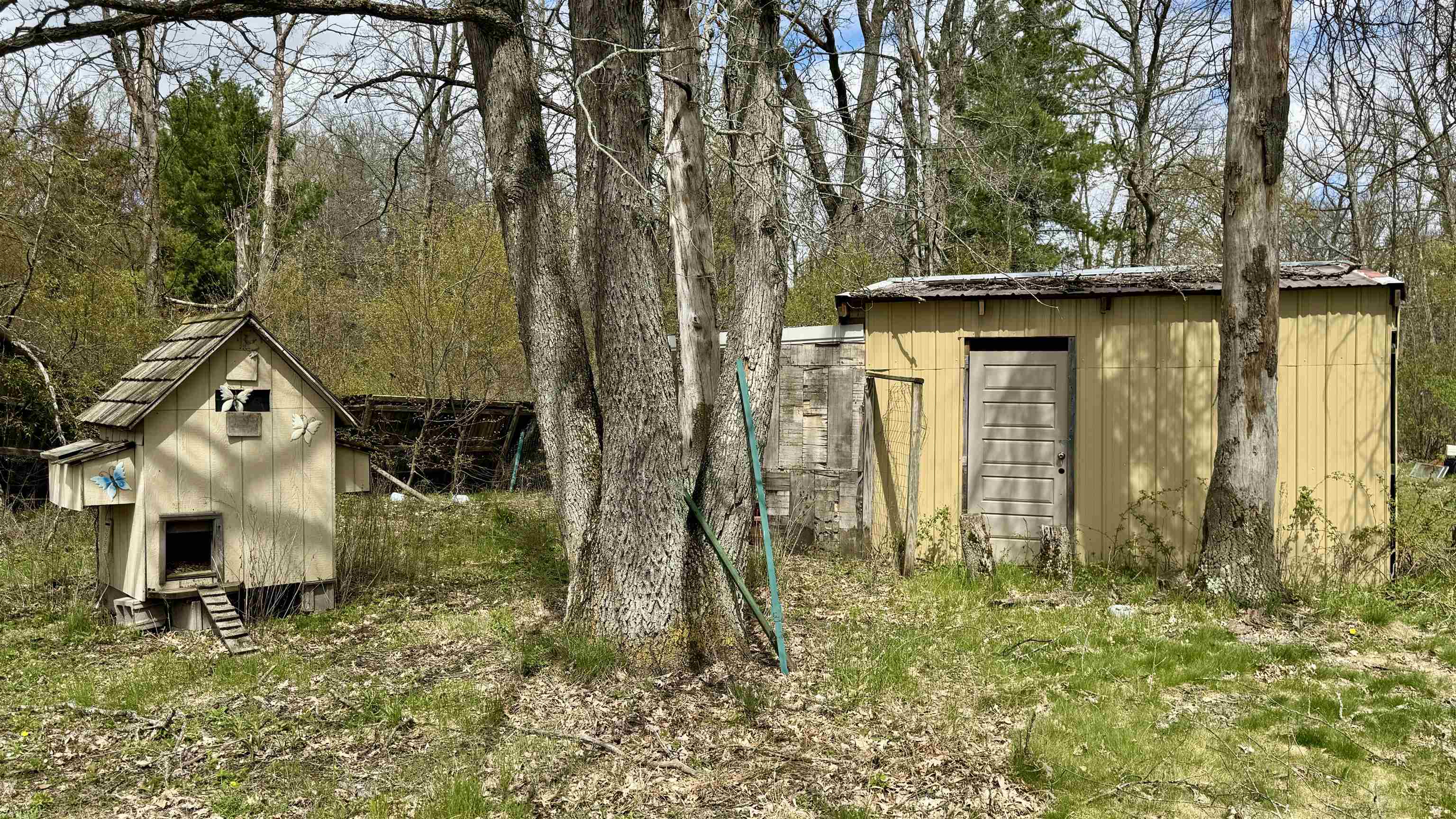1496 17 Mile Road Property Photo 20