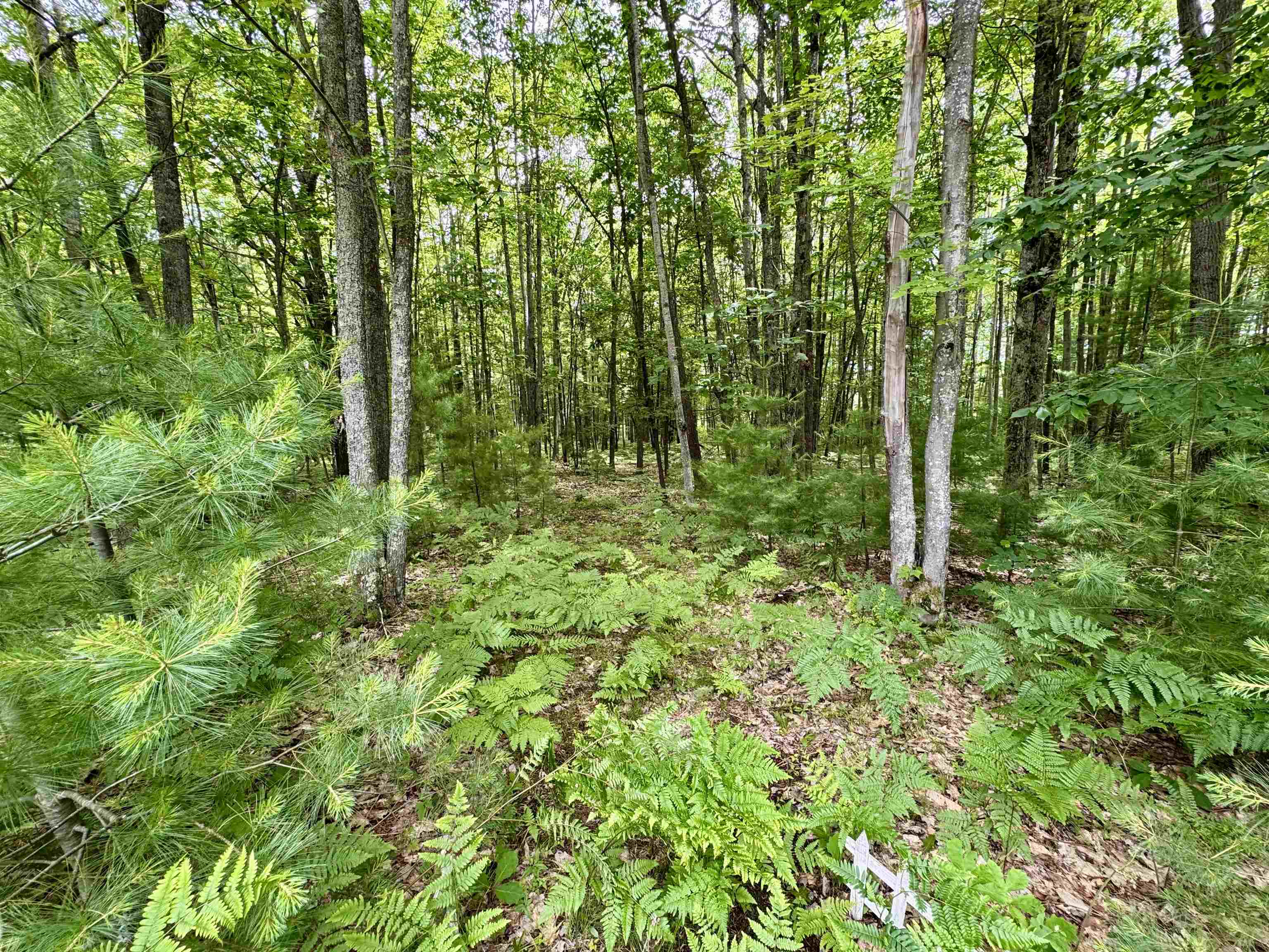4247 Sw Bald Eagles View Property Photo 5