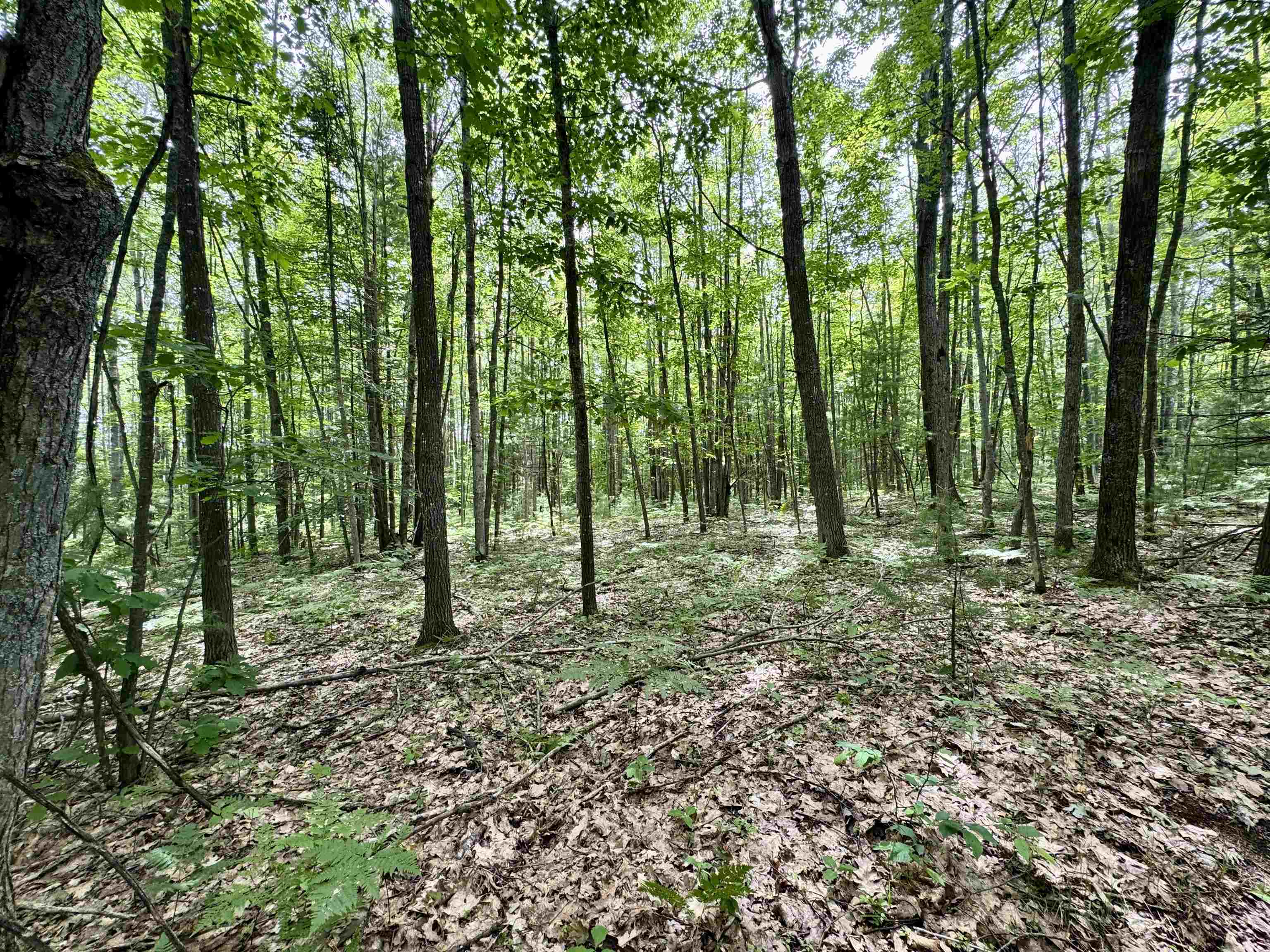 4247 Sw Bald Eagles View Property Photo 6