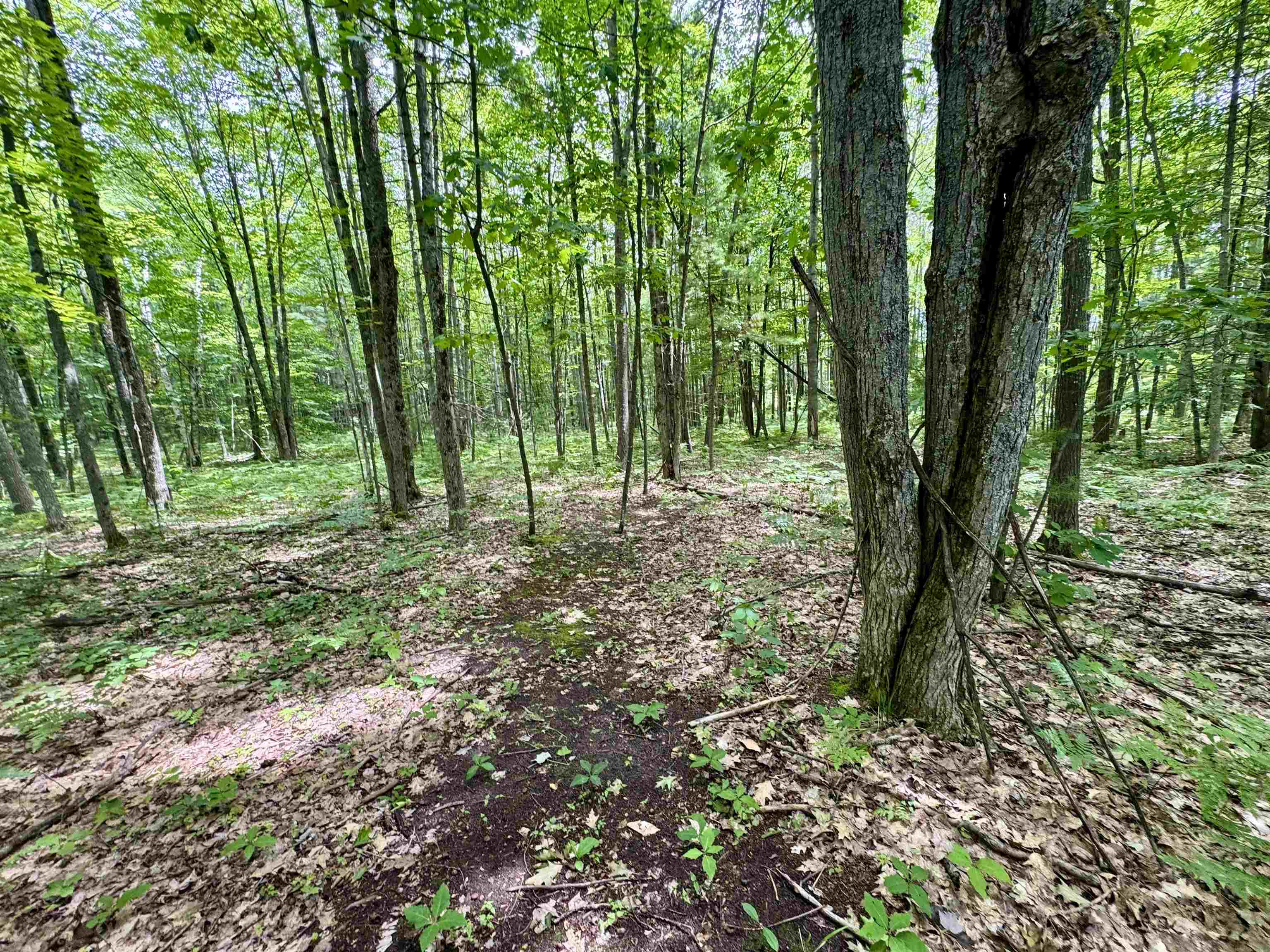 4247 Sw Bald Eagles View Property Photo 7