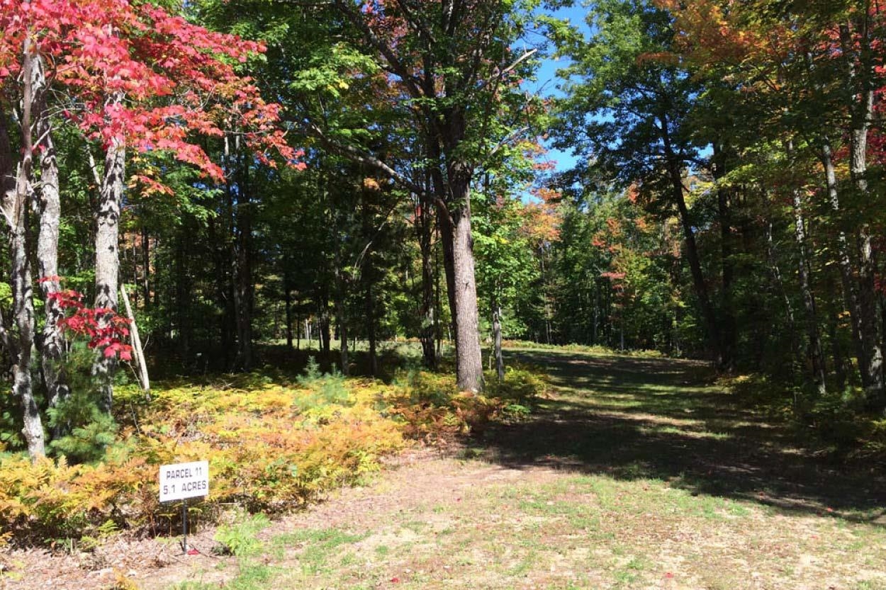 4247 Sw Bald Eagles View Property Photo 11