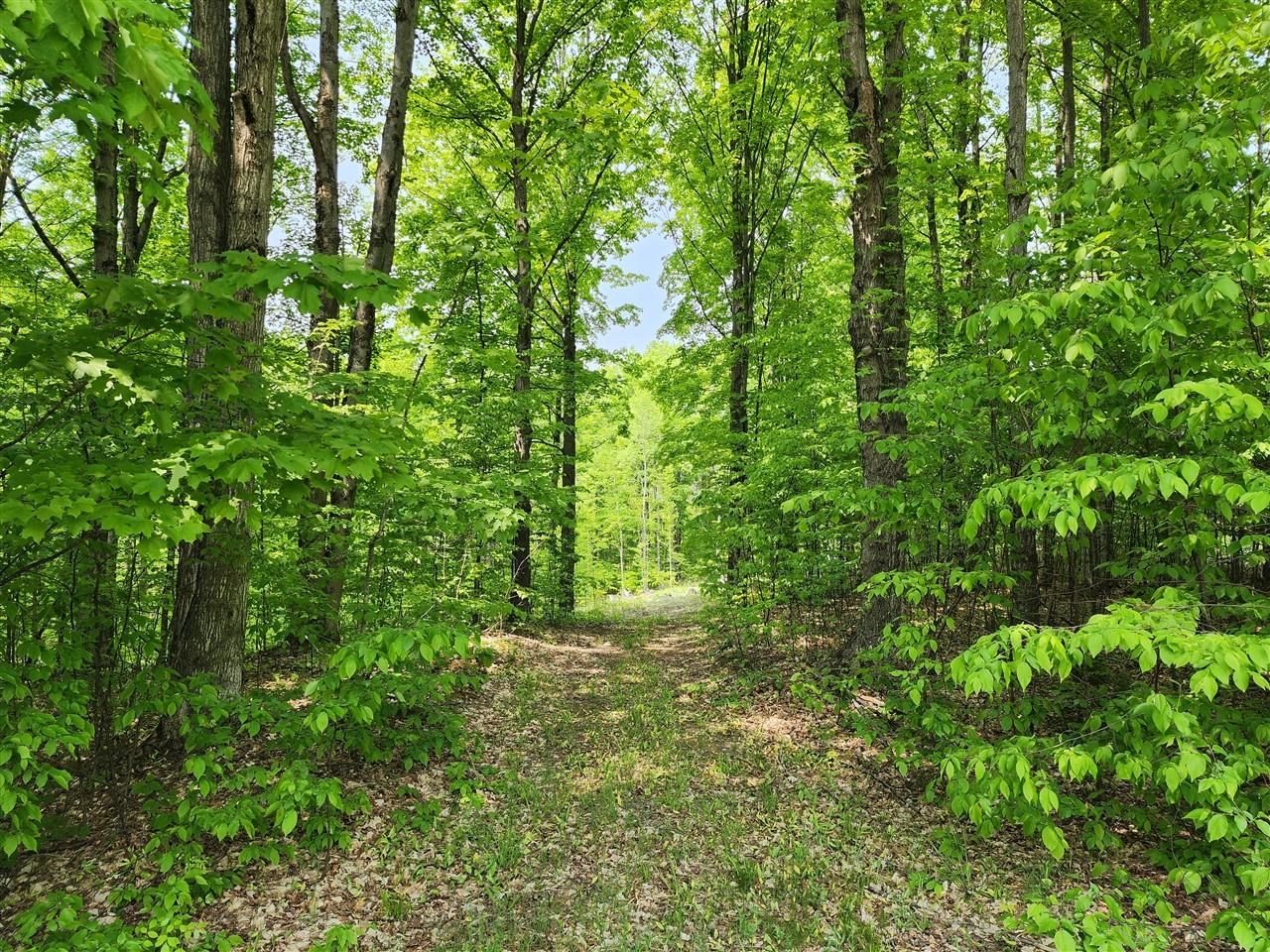 V/l Ravens Roost Property Photo 1