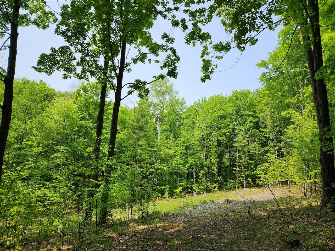 V/l Ravens Roost Property Photo 4