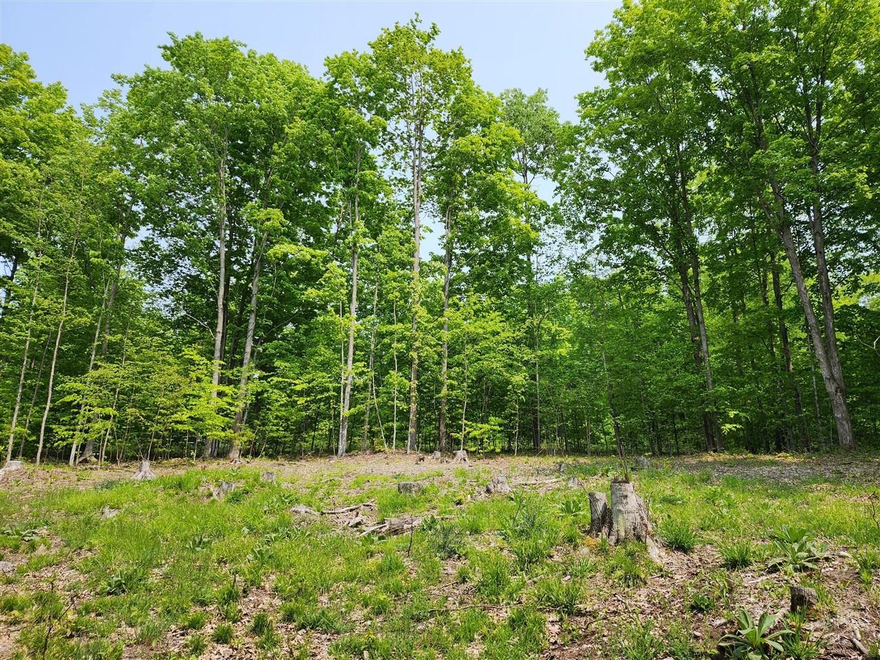 V/l Ravens Roost Property Photo 5