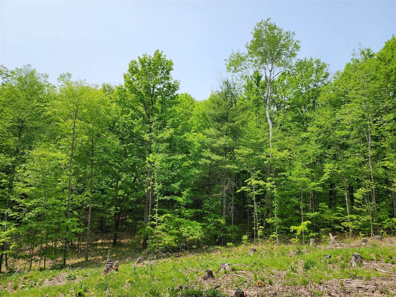 V/l Ravens Roost Property Photo 6