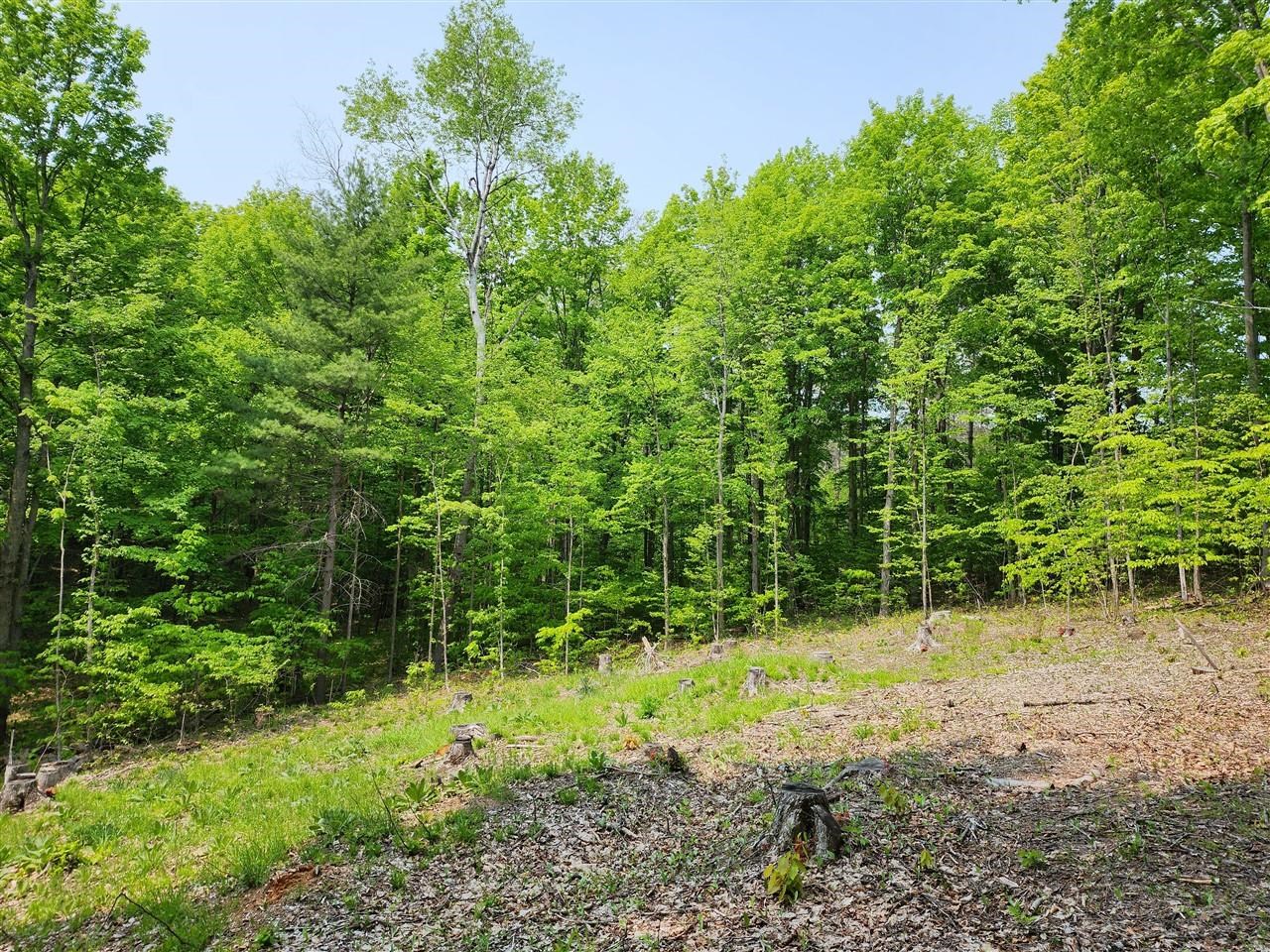 V/l Ravens Roost Property Photo 7