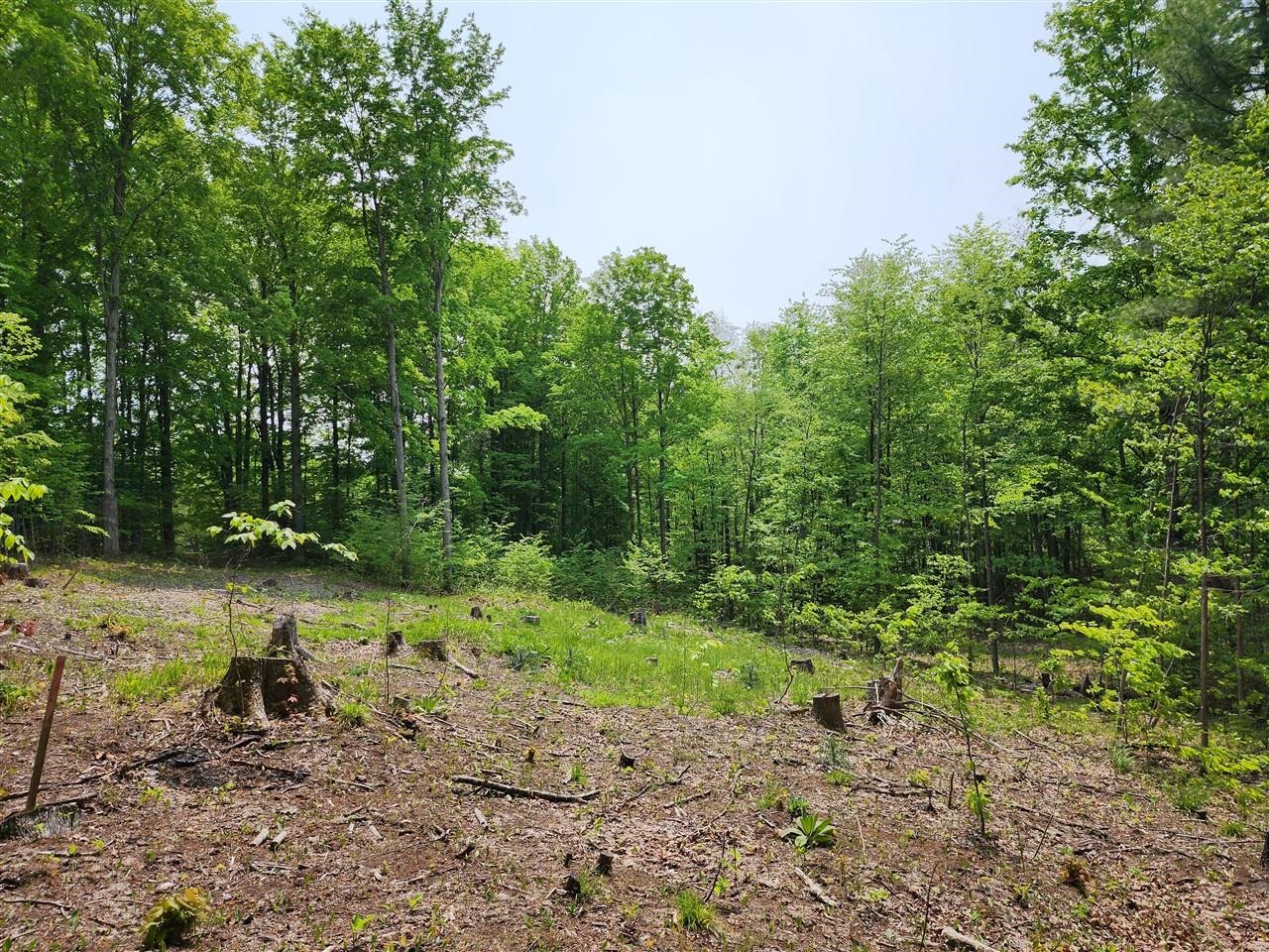 V/l Ravens Roost Property Photo 8