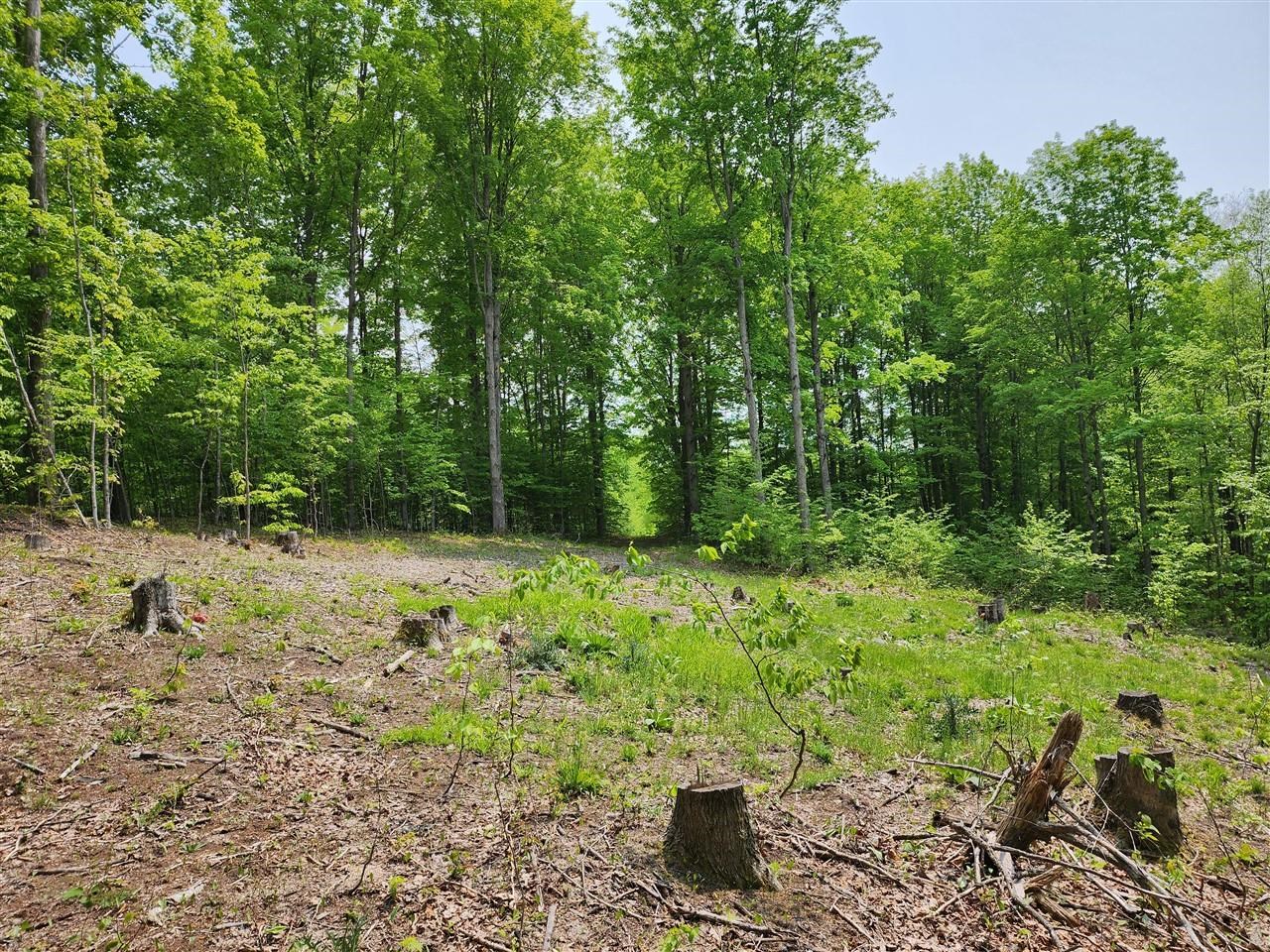 V/l Ravens Roost Property Photo 10
