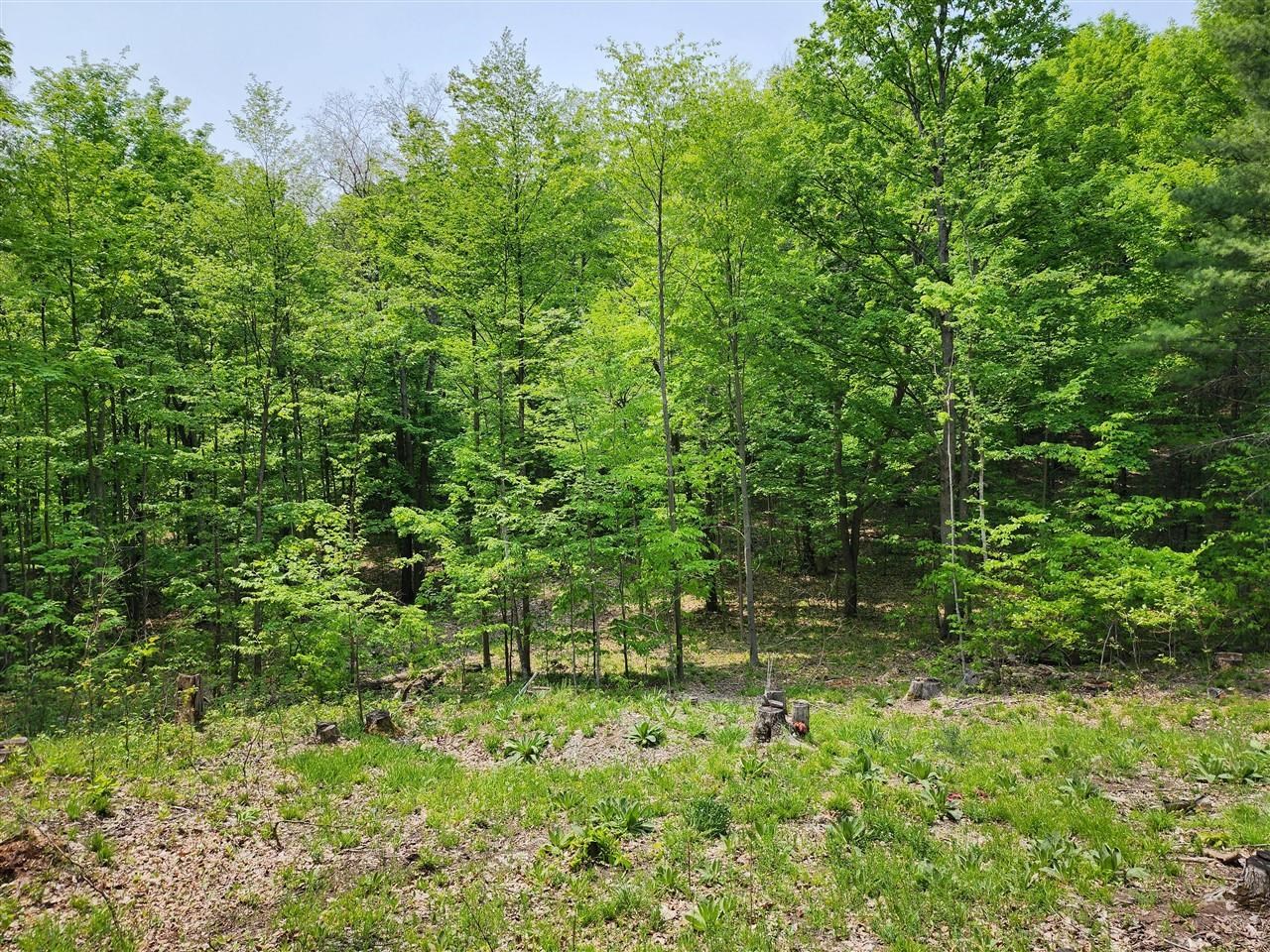 V/l Ravens Roost Property Photo 11