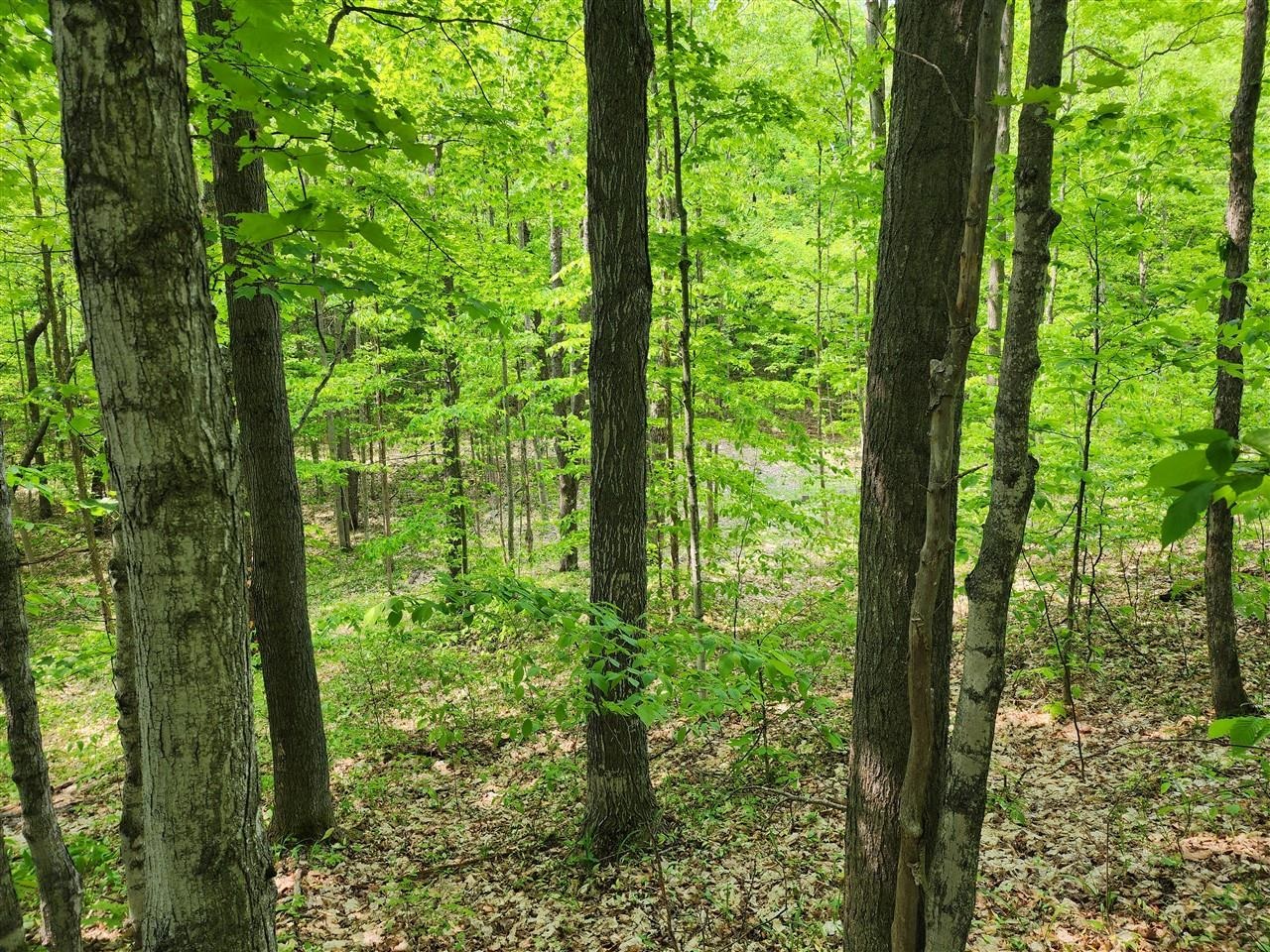 V/l Ravens Roost Property Photo 12