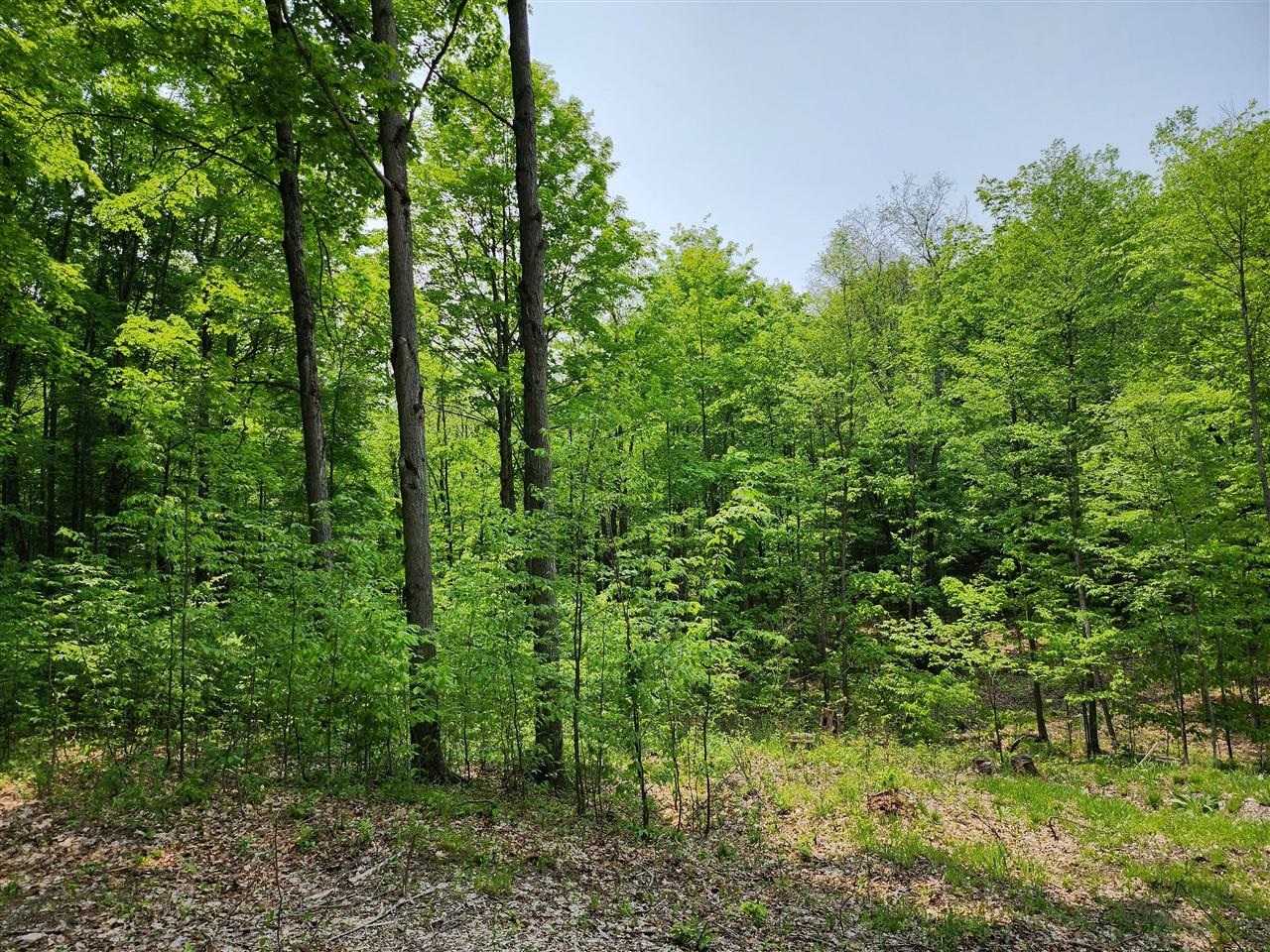 V/l Ravens Roost Property Photo 15