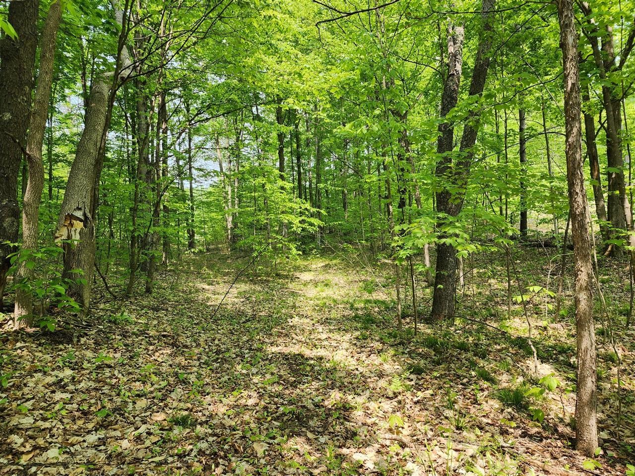 V/l Ravens Roost Property Photo 16